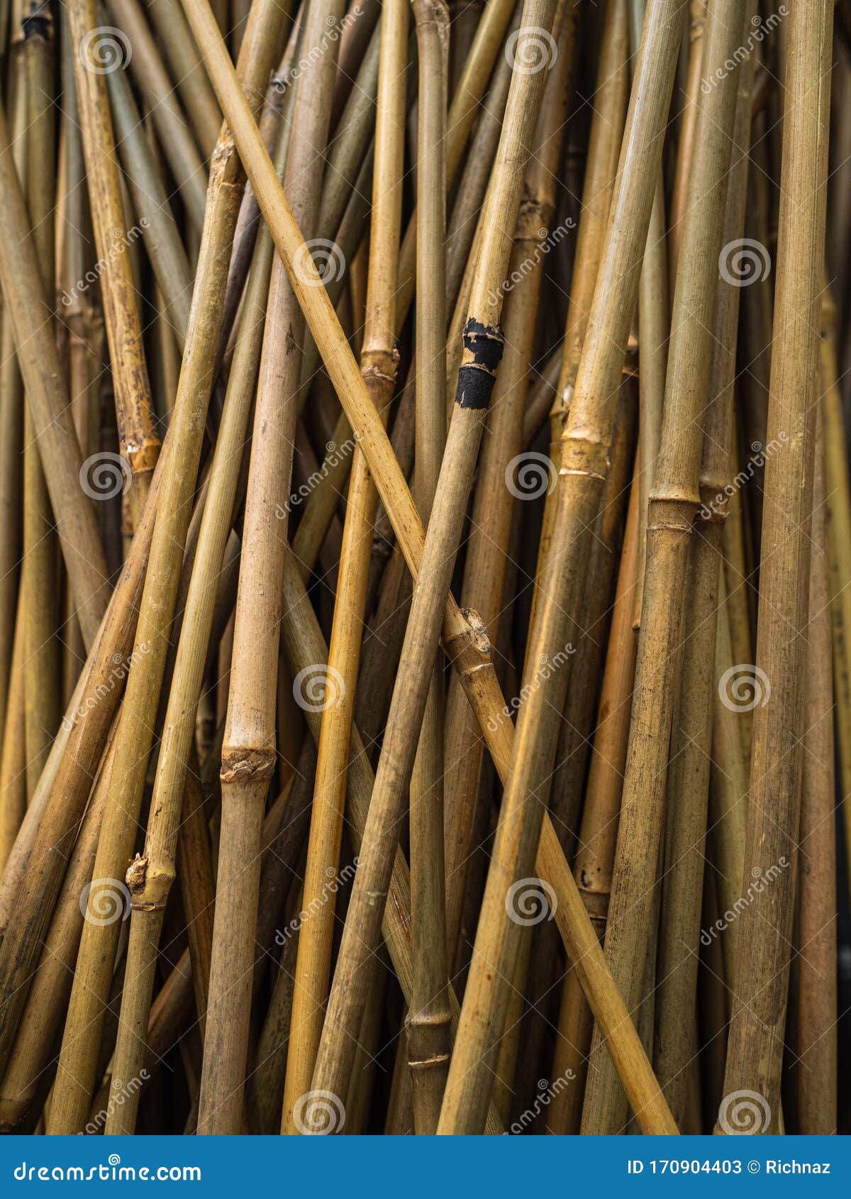 园林植物竹架花园中不同植物的细长耐用竹竿库存图片. 图片包括有网格, 叶子, 接受, 背包, 工厂- 170904403