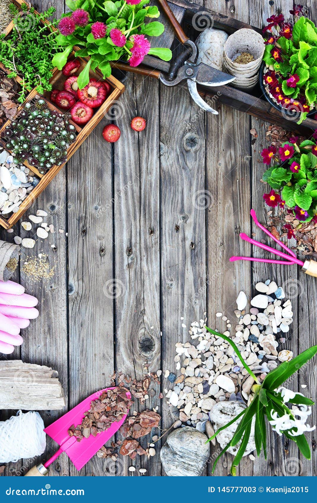 园艺工具 花 肥料 种子 在木背景的园艺工具春天庭院运作的概念r R 库存图片 图片包括有