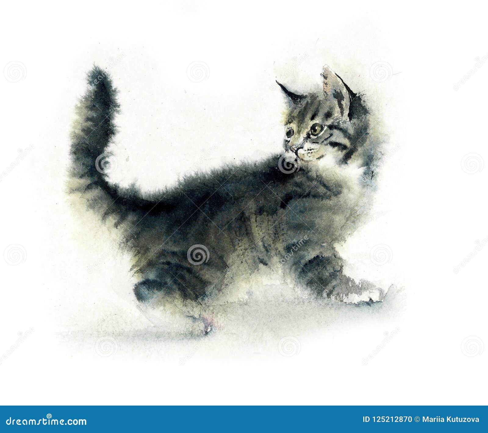 国内cat 1 猫背景水彩手拉的例证库存例证 插画包括有 国内cat 1 猫背景水彩手拉的例证库存例证 插画包括有