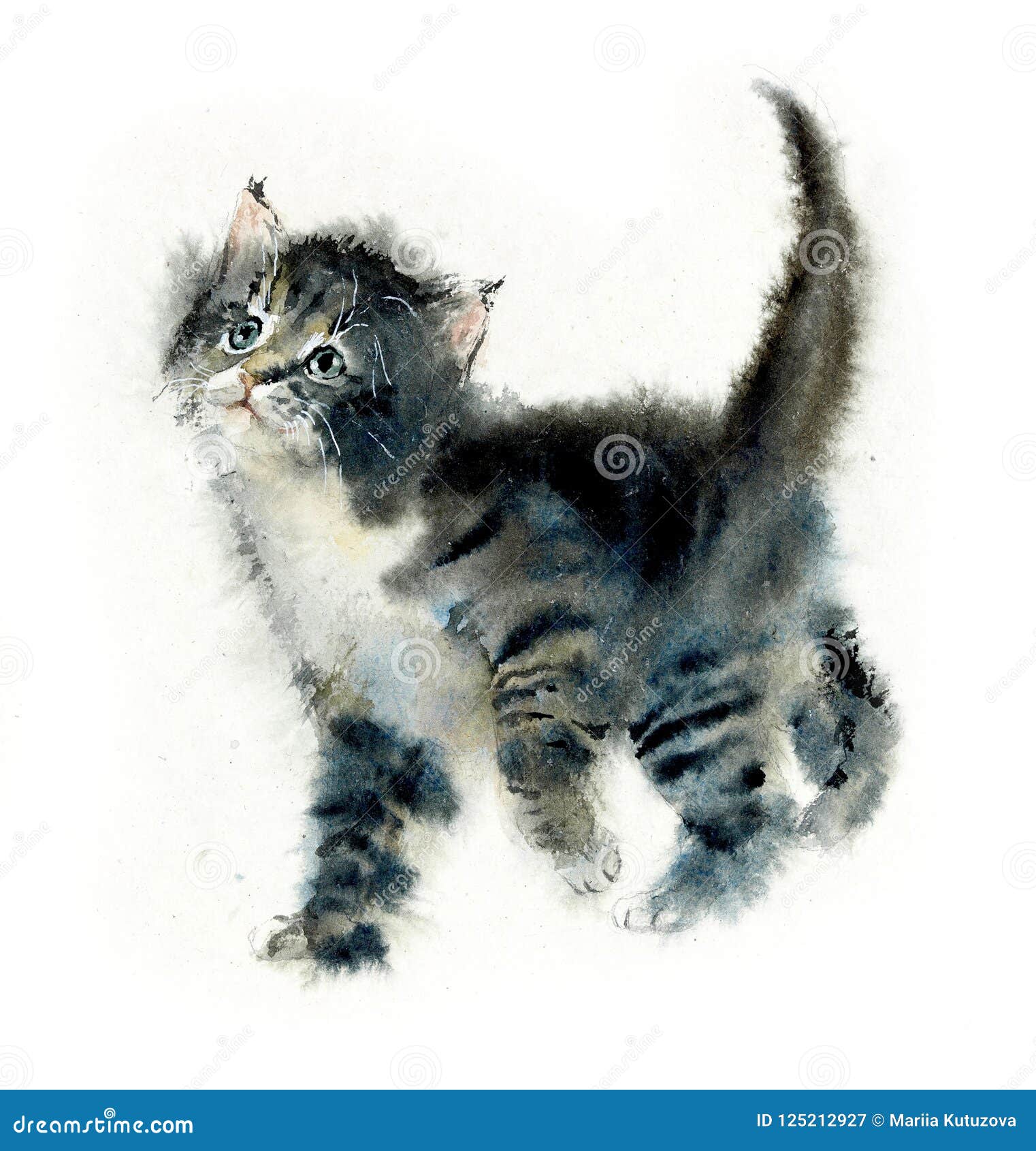 国内cat 1 猫背景水彩手拉的例证库存例证 插画包括有 国内cat 1 猫背景水彩手拉的例证库存例证 插画包括有
