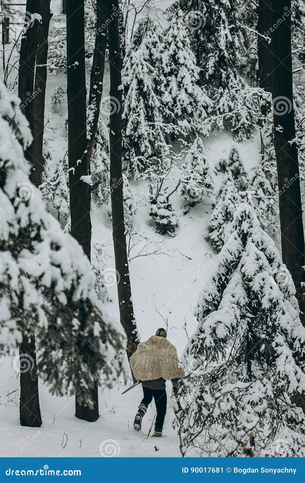在兽皮的北欧海盗猎人走在雪有钢的a冬天森林里的库存图片 图片包括有 在兽皮的北欧海盗猎人走在雪有钢的a冬天森林里的库存图片 图片包括有
