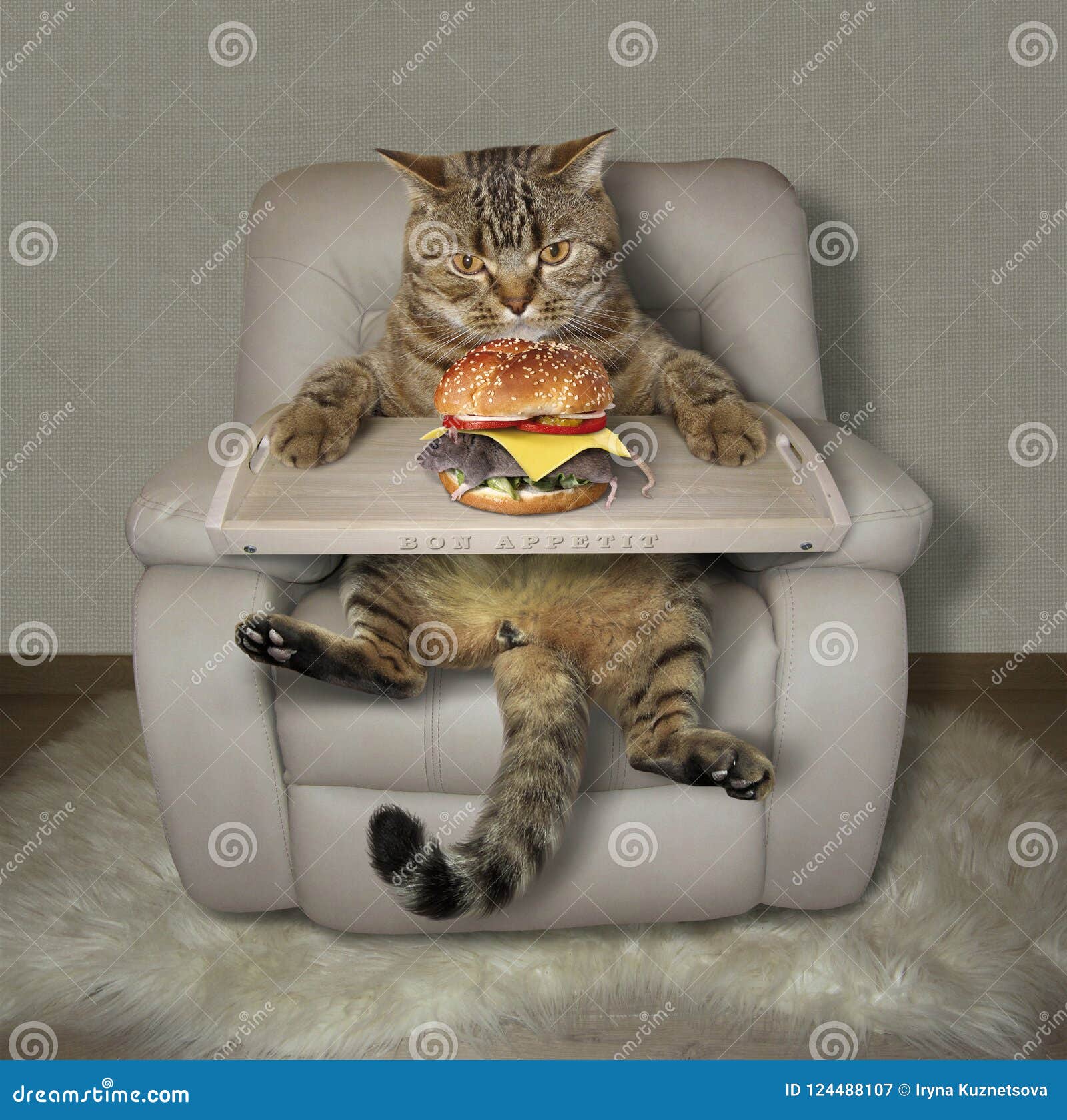 在扶手椅子2的猫库存图片. 图片包括有地毯, 汉堡, 可口, 蔬菜, 家庭 