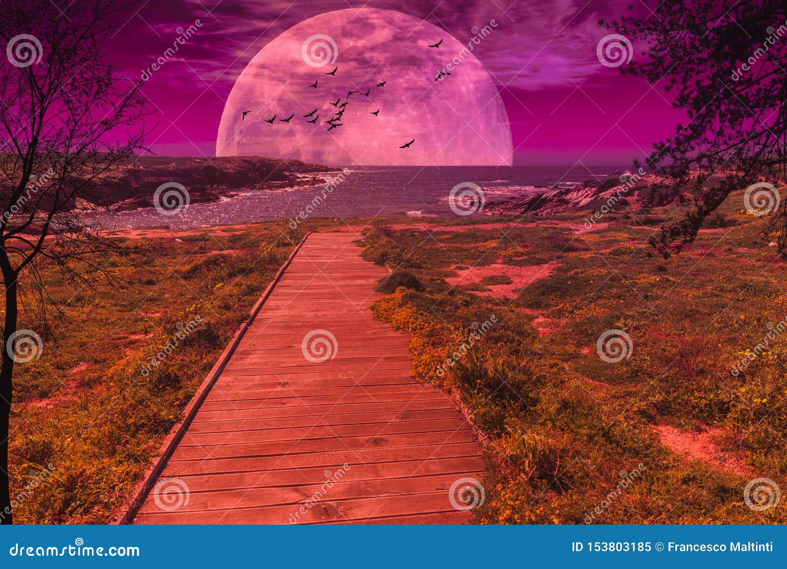 在日落的幻想风景与超级月亮库存图片 图片包括有 在日落的幻想风景与超级月亮库存图片 图片包括有