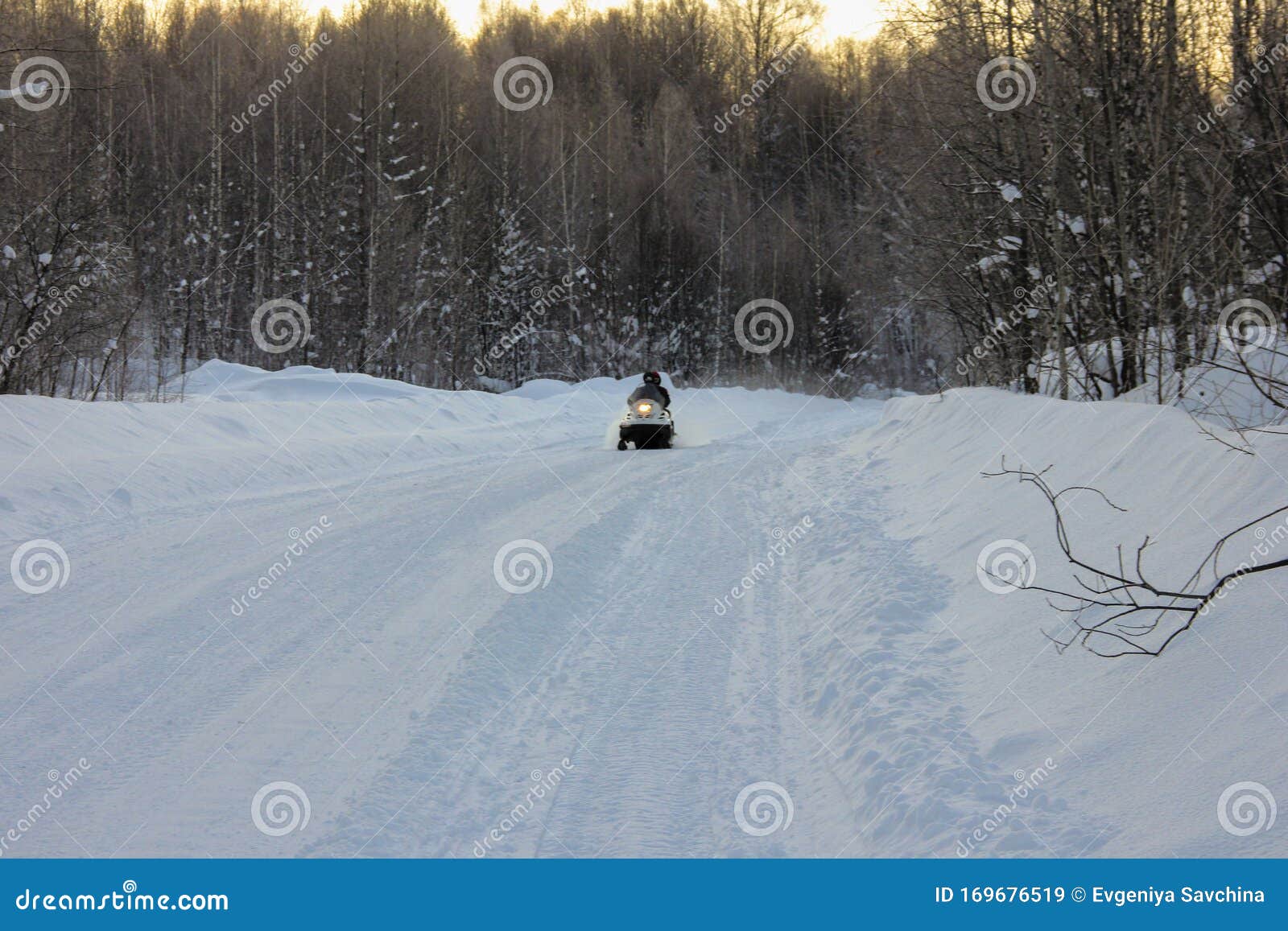 在森林里雪域清澈的路上 两人在寒冷中乘雪地车冬天积极休息库存图片 图片包括有季节 女演员