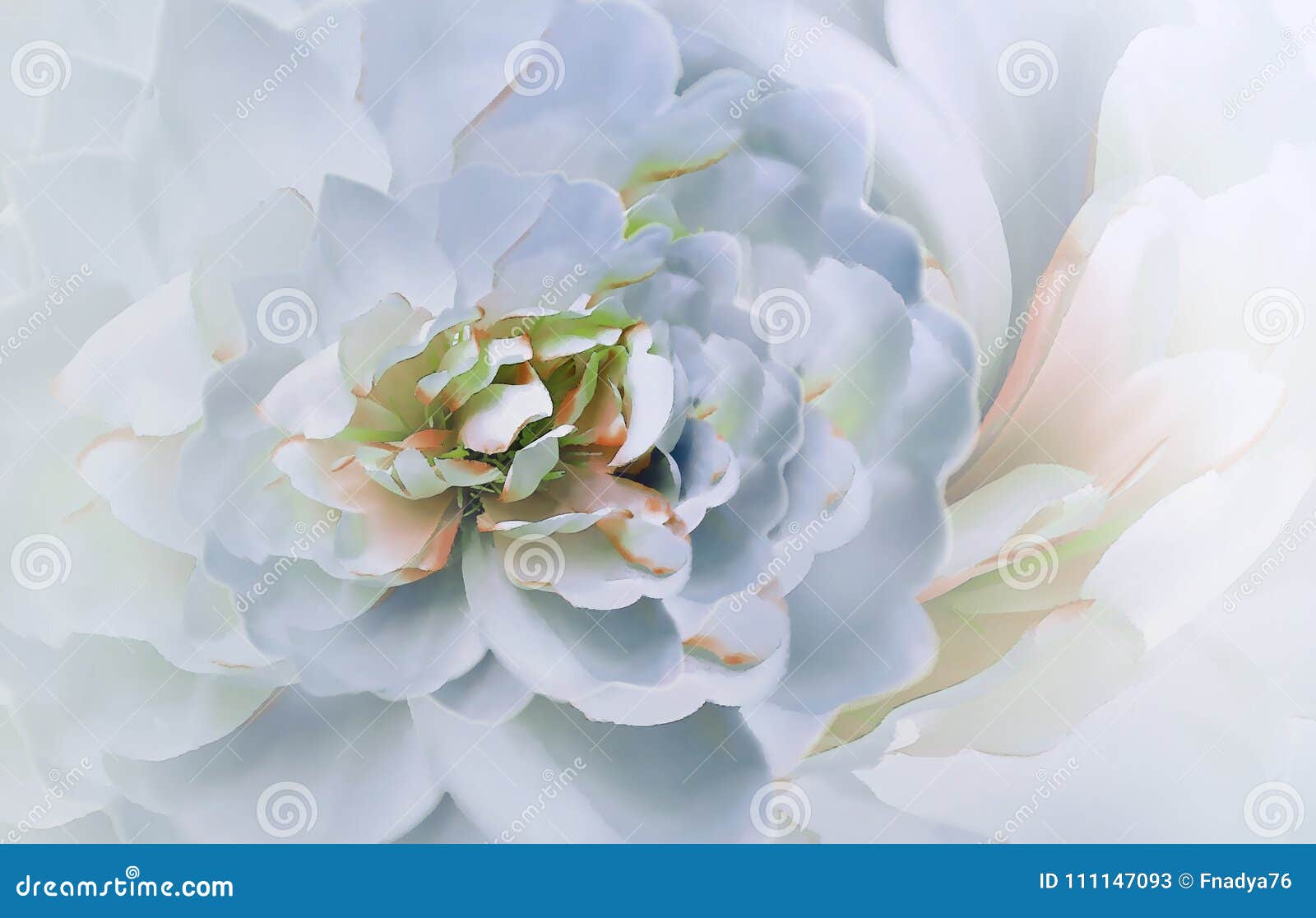 在模糊的桃红色黄色背景bokeh的花桃红色白的花菊花花卉拼贴画背景构成旋花植物空白花的郁金香库存图片 图片包括有 在模糊的桃红色黄色背景bokeh的花桃红色白的花菊花花卉拼贴画背景构成旋花植物空白花的郁金香库存图片 图片包括有