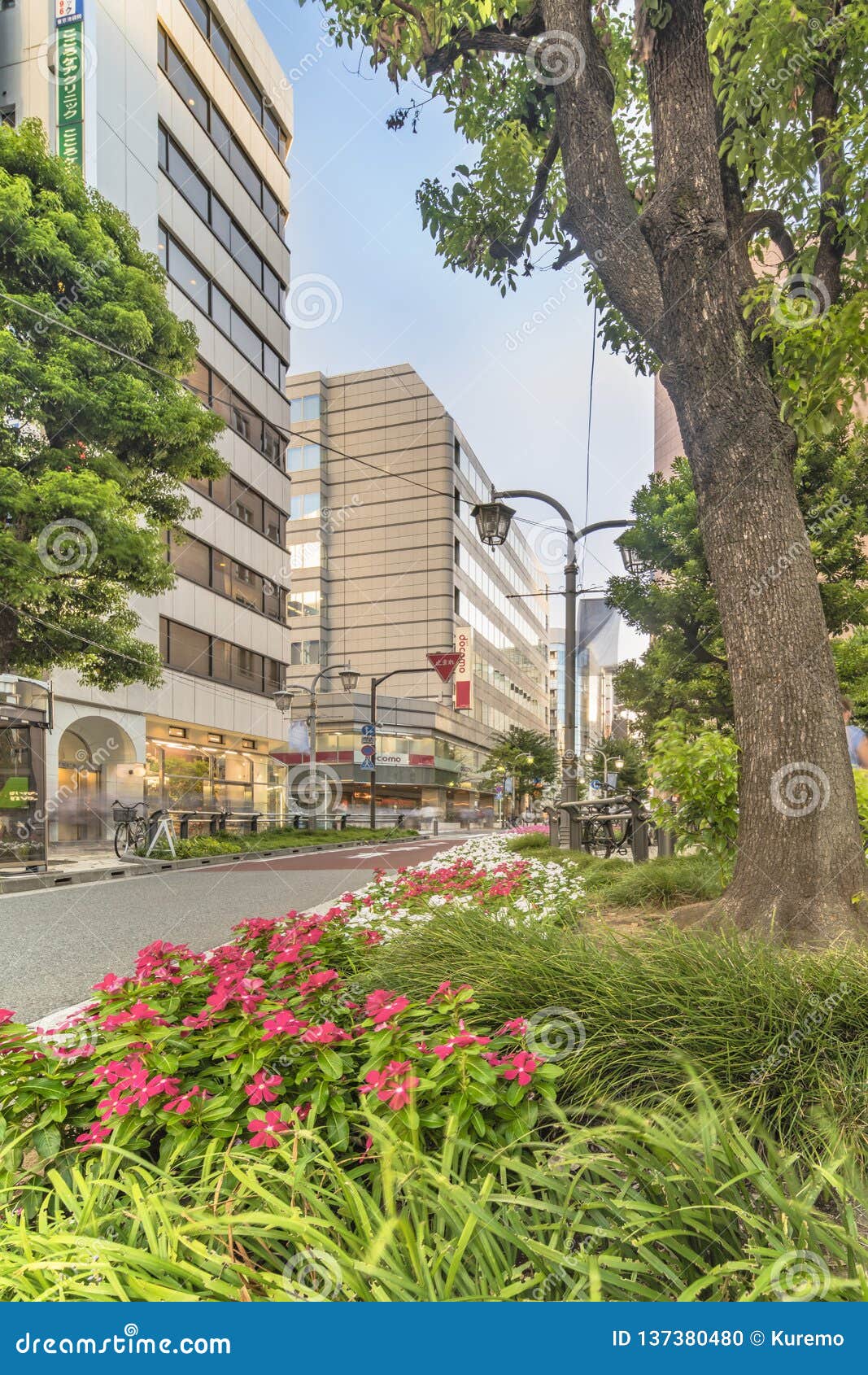 在池袋东部出口的阳光街道在东京边路曲线由块强调了埋置与不同的步库存照片 图片包括有