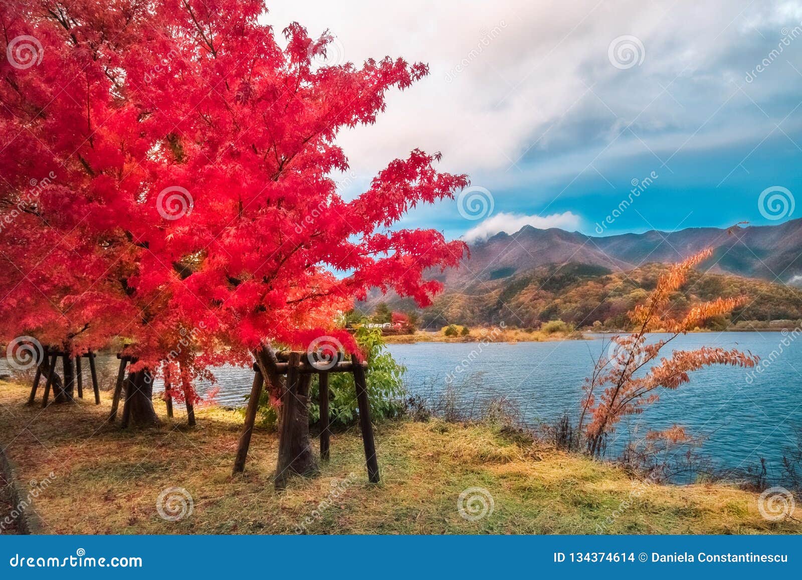 在河口湖 风景五个湖之一的湖边 在富士山的附近 日本库存照片 图片包括有横向 挂接 森林 壮观 在河口湖 风景五个湖之一的湖边 在富士山的附近 日本库存照片 图片包括有横向 挂接 森林 壮观
