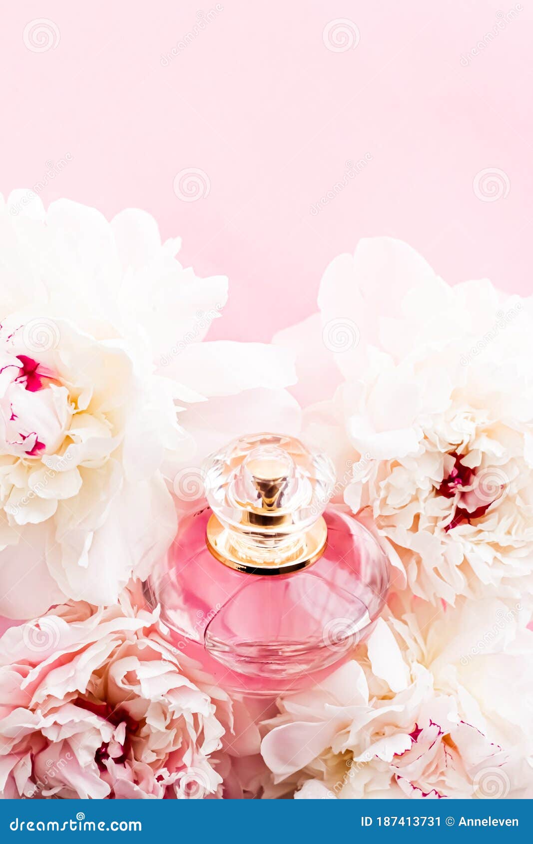 在牡丹花 香水和美容品牌背景下 作为别致香水产品的豪华香水瓶库存图片 图片包括有构成 花束 在牡丹花 香水和美容品牌背景下 作为别致香水产品的豪华香水瓶库存图片 图片包括有构成 花束
