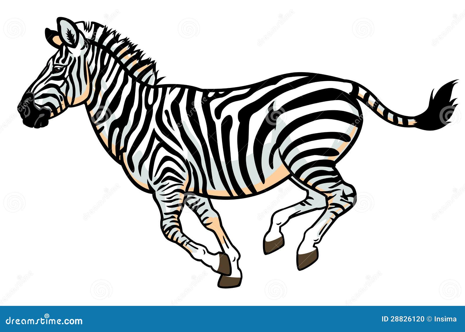 zebra running clipart - photo #9