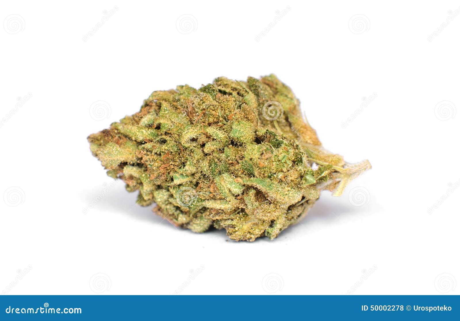 在白色背景的干燥大麻芽库存照片 图片包括有在白色背景的干燥大麻芽 在白色背景的干燥大麻芽库存照片 图片包括有在白色背景的干燥大麻芽
