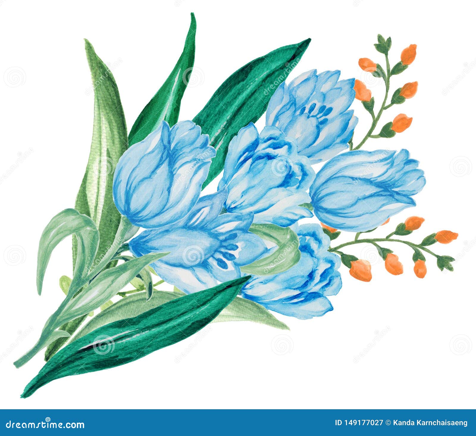 在白色背景的水彩春天和夏时典雅的花束花库存例证 插画包括有查出 装饰 看板卡 颜色 背包