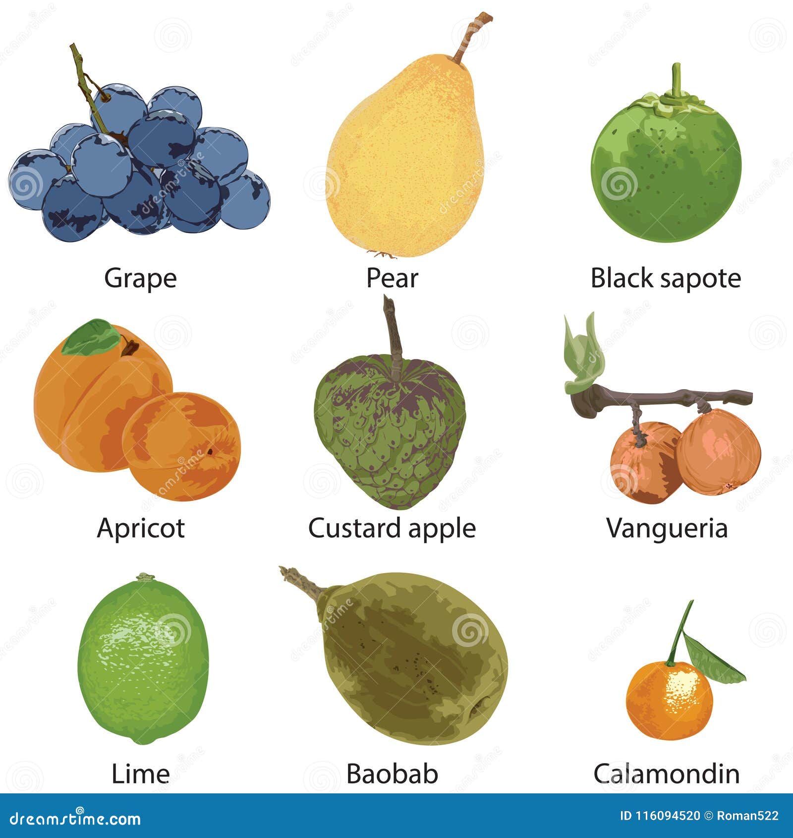 Grape pear. Вангерия фрукт. Одноразка grape Pear. Ной фрукт на белом фоне. Одноразка виноград груша.