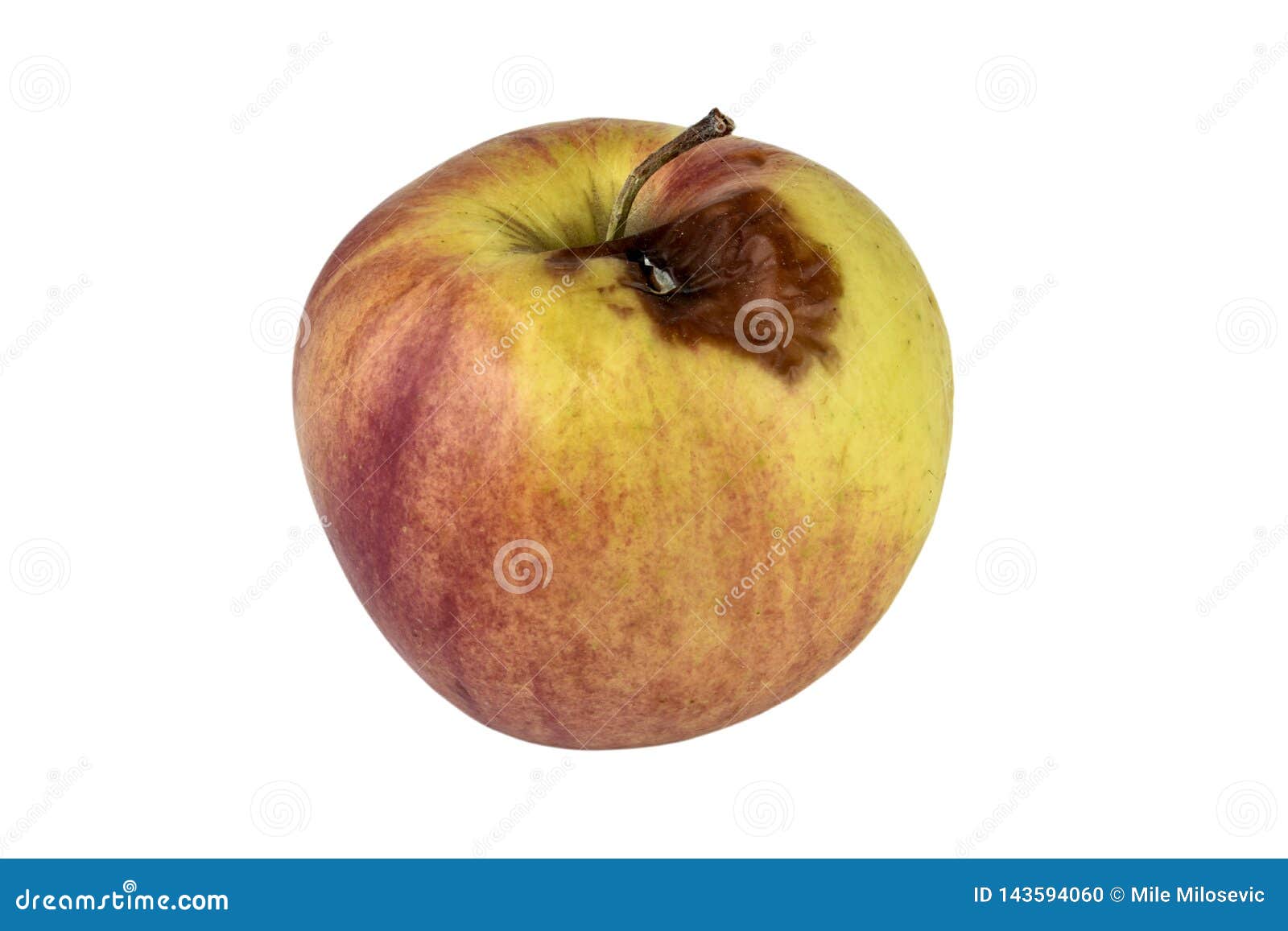 在空白背景查出的腐烂的apple 库存照片 图片包括有在空白背景查出的腐烂的apple