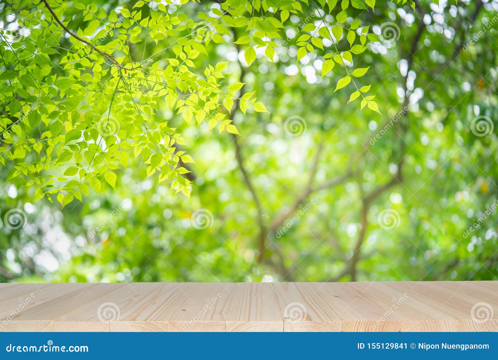 在绿色自然背景的空的木桌与在阳光下的秀丽bokeh 库存图片 图片包括有生气勃勃 显示 新鲜 在绿色自然背景的空的木桌与在阳光下的秀丽bokeh 库存图片 图片包括有生气勃勃 显示 新鲜