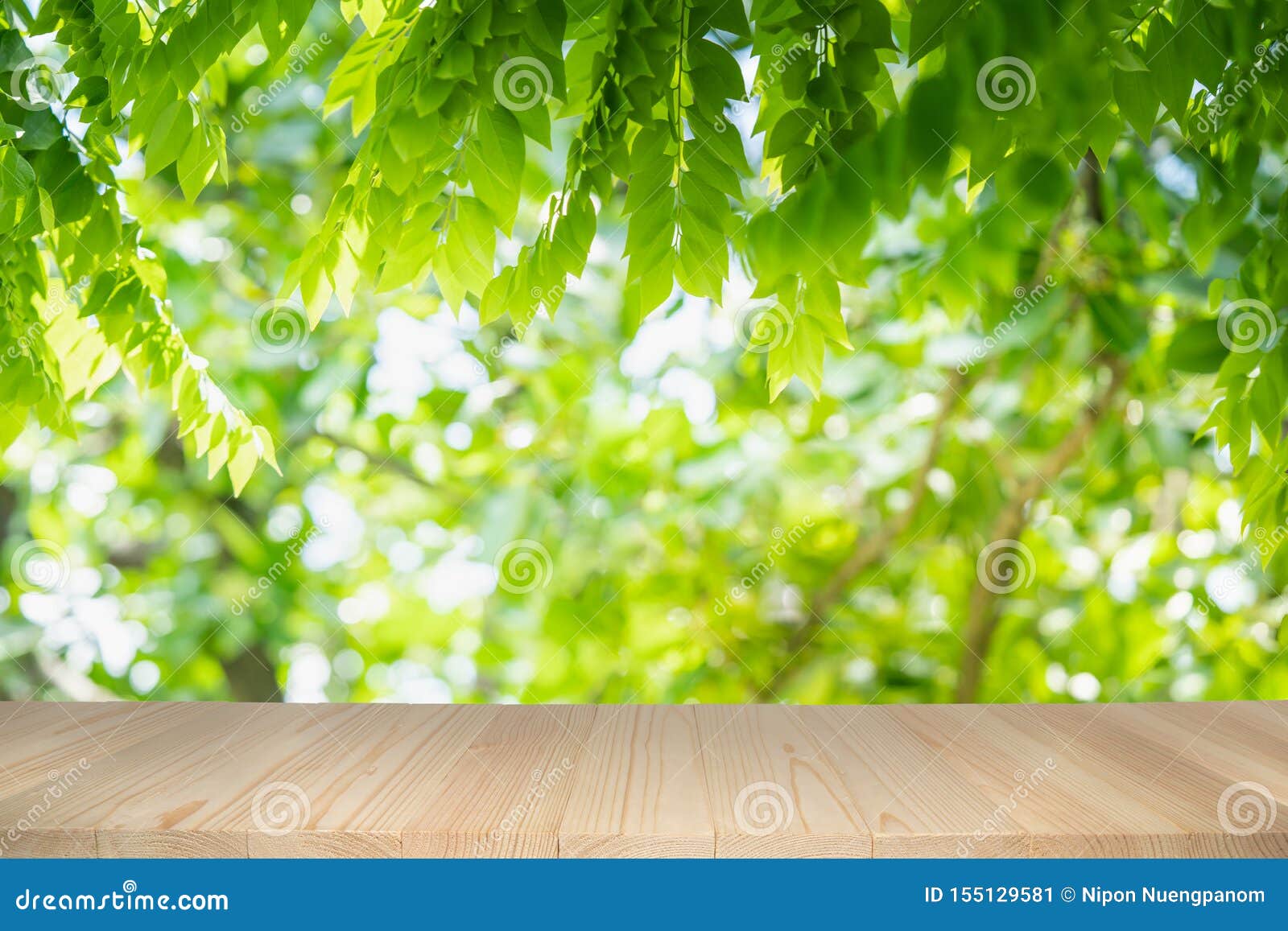 在绿色自然背景的空的木桌与在阳光下的秀丽bokeh 库存图片 图片包括有增长 空白的 蠢材 计数器 在绿色自然背景的空的木桌与在阳光下的秀丽bokeh 库存图片 图片包括有增长 空白的 蠢材 计数器