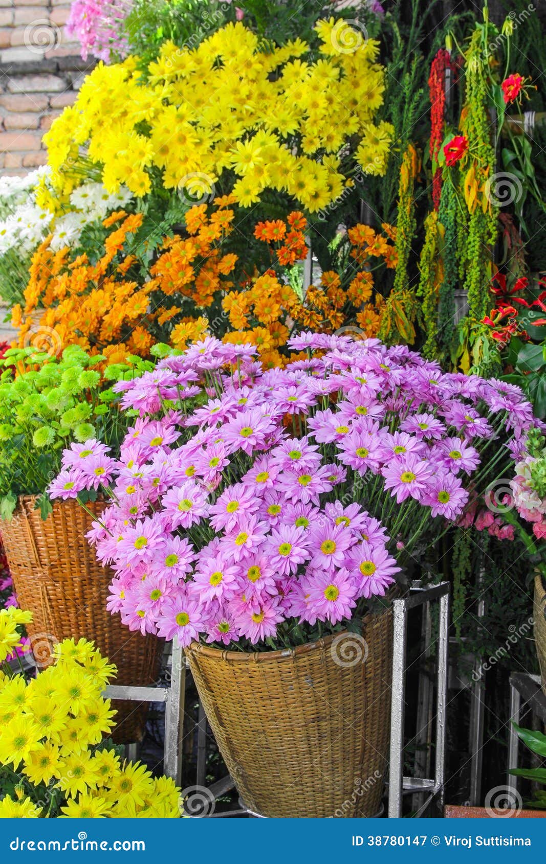 春菊花店 Karin Ridgers