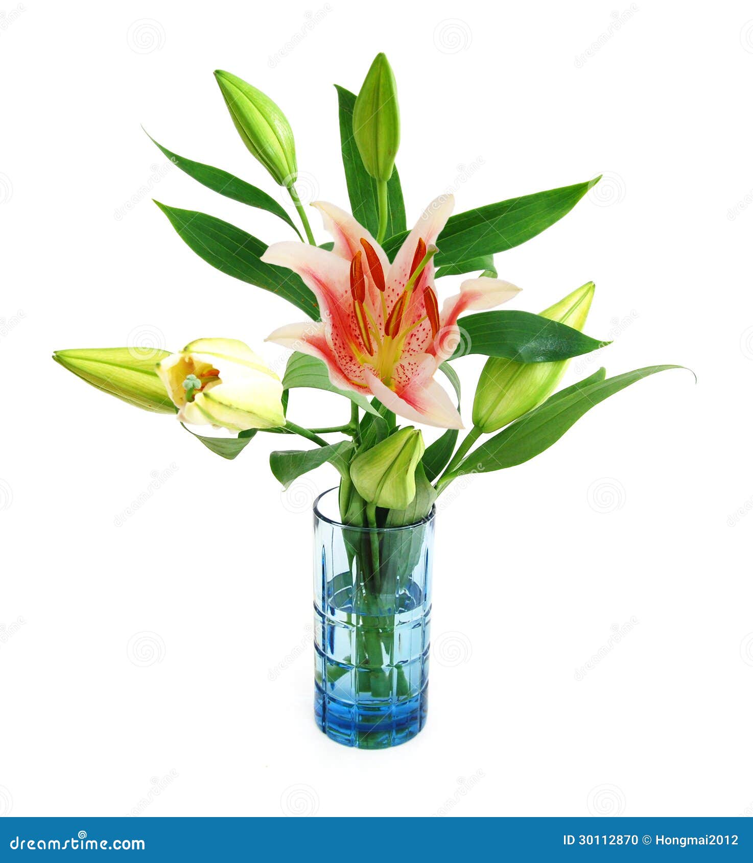 在花瓶的百合花库存照片 图片包括有