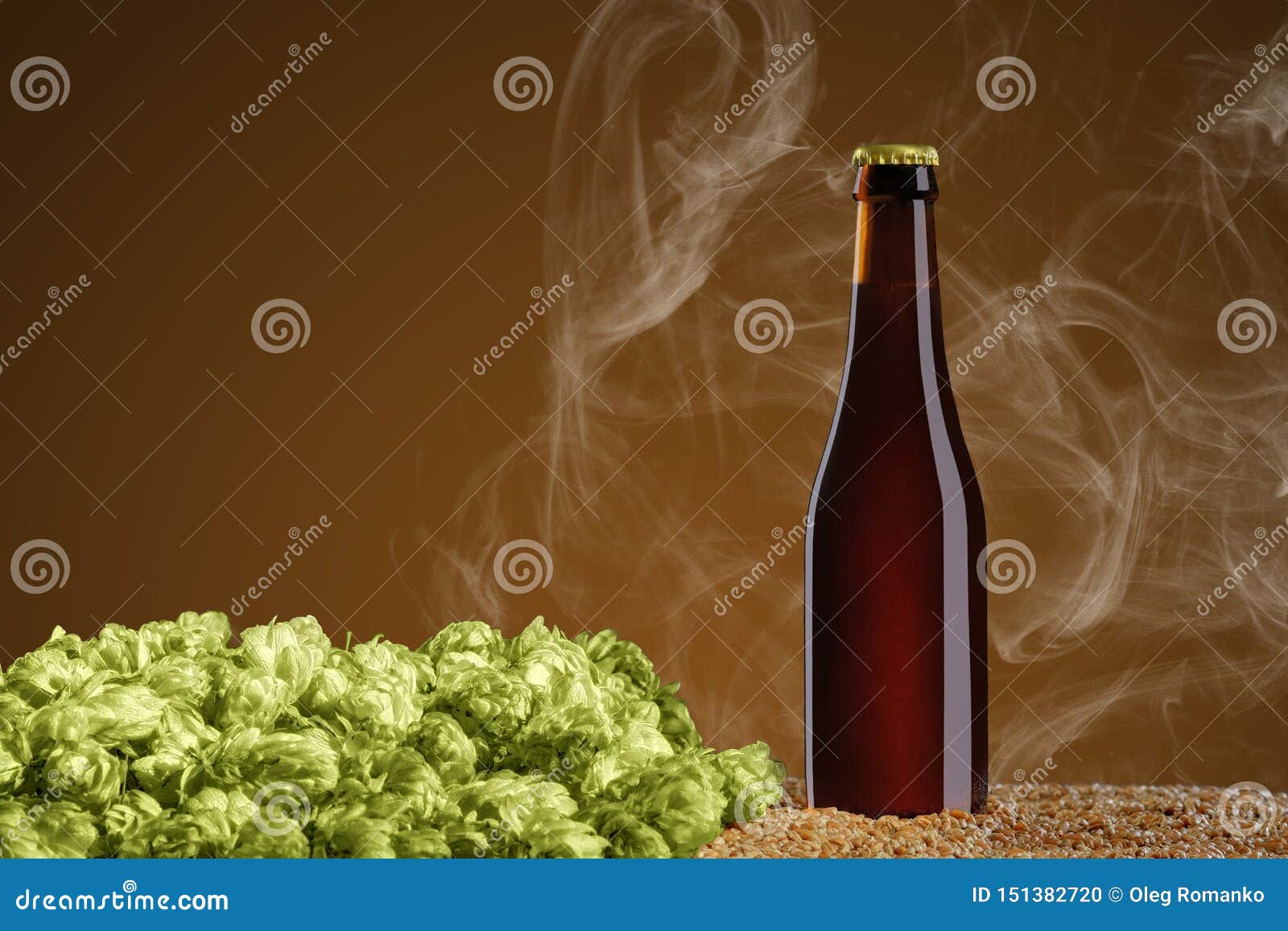 在蛇麻草麦子和锥体站立在焦茶色的演播室背景的与烟的布朗啤酒瓶库存照片 图片包括有 在蛇麻草麦子和锥体站立在焦茶色的演播室背景的与烟的布朗啤酒瓶库存照片 图片包括有