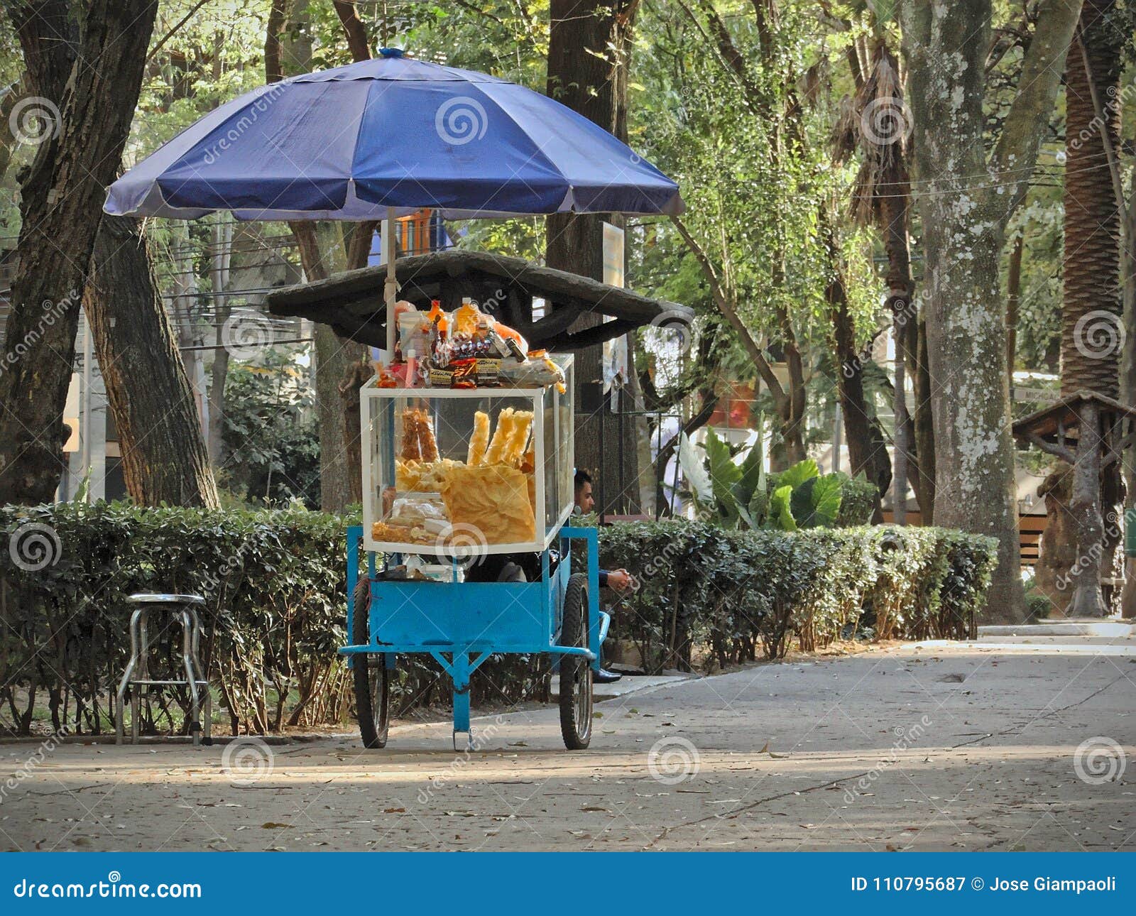 在街道有快餐和甜点的食物推车旁边供以人员坐在 Parque墨西哥 图库摄影片 图片包括有旅行 晴朗