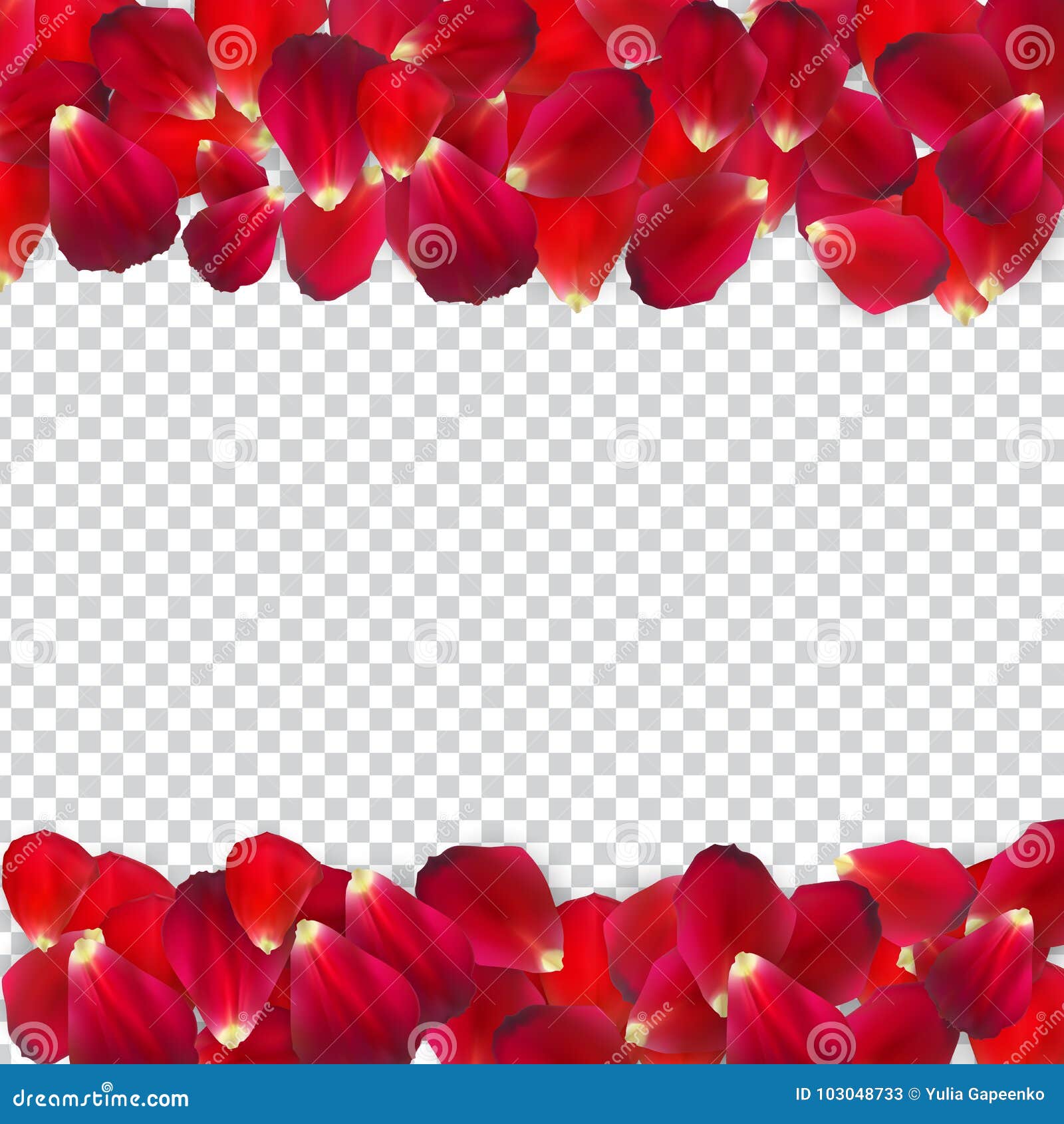 在透明背景的自然主义的玫瑰花瓣也corel凹道例证向量向量例证 插画包括有下降 新鲜 在透明背景的自然主义的玫瑰花瓣也corel凹道例证向量向量例证 插画包括有下降 新鲜