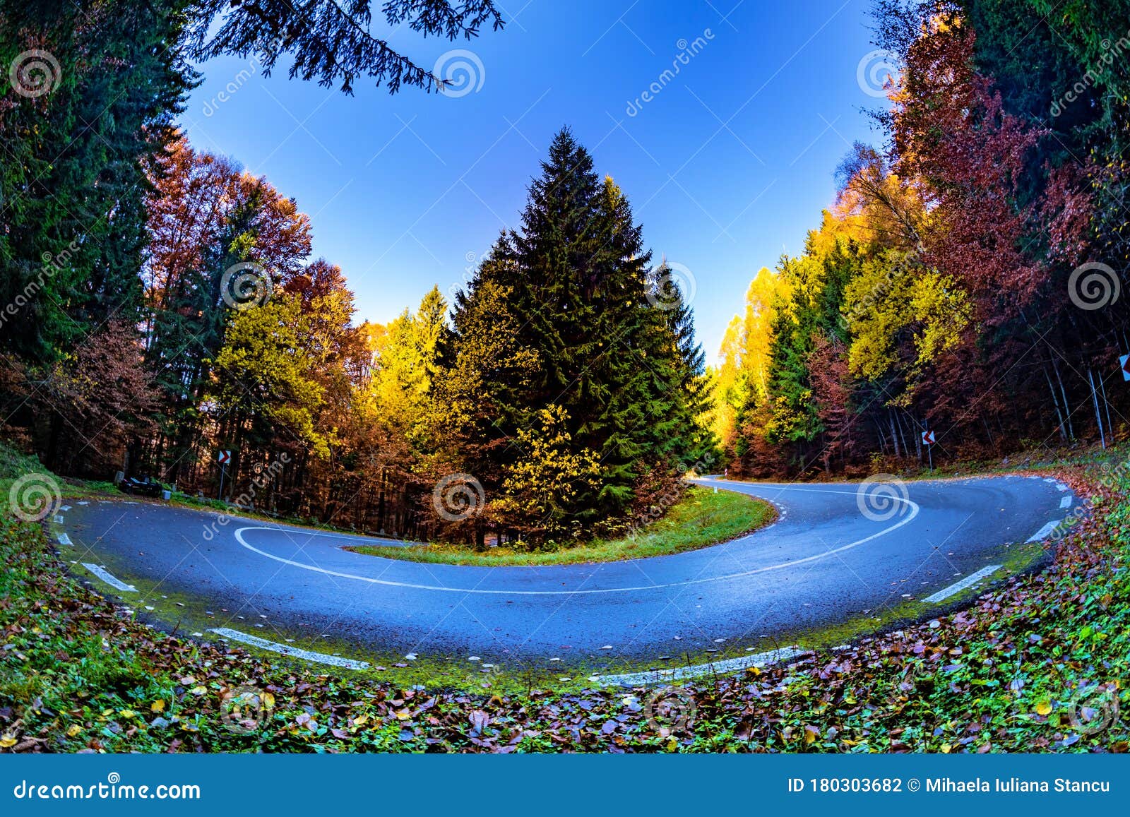 在通往sfanta Ana的路上 一片树叶秋叶林的美丽景色库存照片 图片包括有ana的路上 一片树叶秋叶林的美丽景色 在通往sfanta