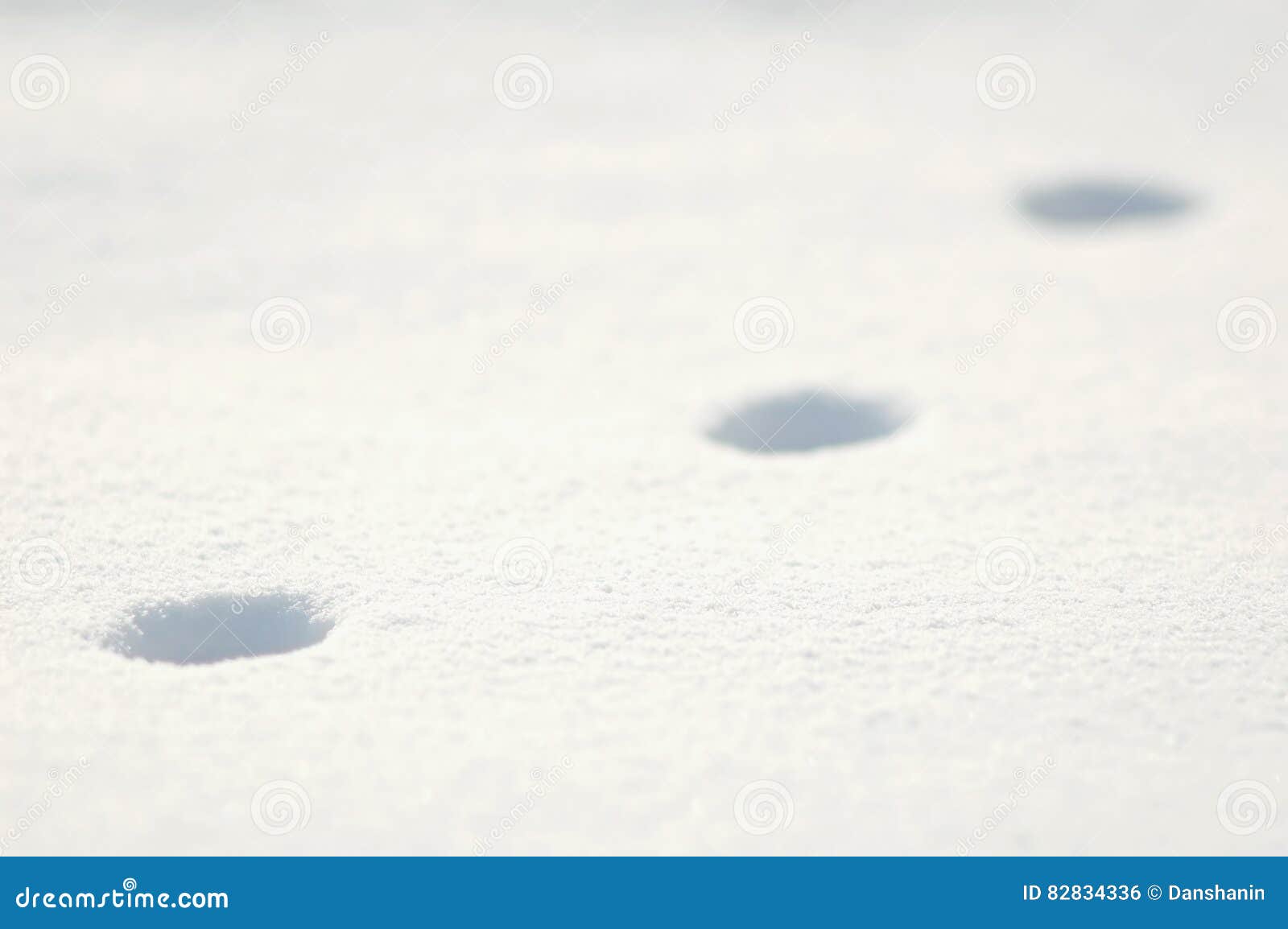 在雪的动物足迹在一个晴朗的冬日库存照片 图片包括有在雪的动物足迹在一个晴朗的冬日 4336 在雪的动物足迹在一个晴朗的冬日库存照片 图片包括有在雪的动物足迹在一个晴朗的冬日 4336