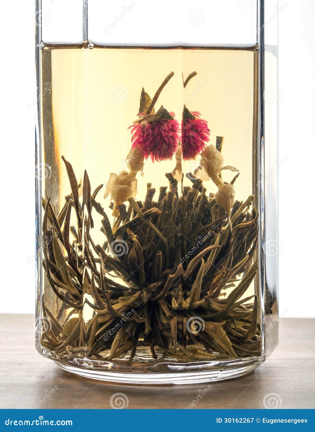 在玻璃的绿色中国花茶库存图片 图片包括有一个 制动手 打赌的人 宏指令 增长 花卉 杯子 在玻璃的绿色中国花茶库存图片 图片包括有一个 制动手 打赌的人 宏指令 增长 花卉 杯子