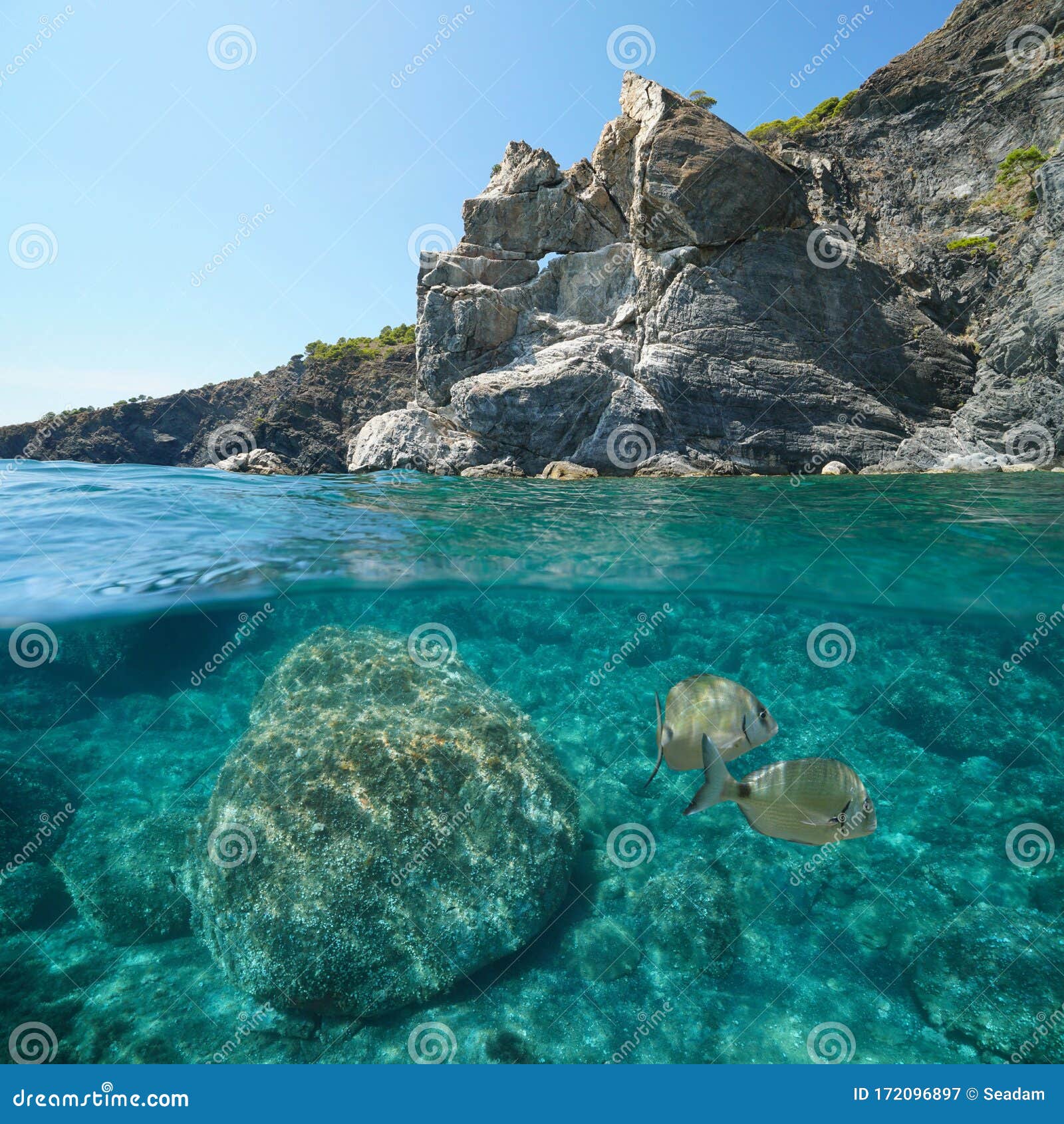 地中海海景岩石海岸带鱼库存图片 图片包括有海岸线 本质 下面 水生 峭壁 欧洲 海岸 地中海海景岩石海岸带鱼库存图片 图片包括有海岸线 本质 下面 水生 峭壁 欧洲 海岸
