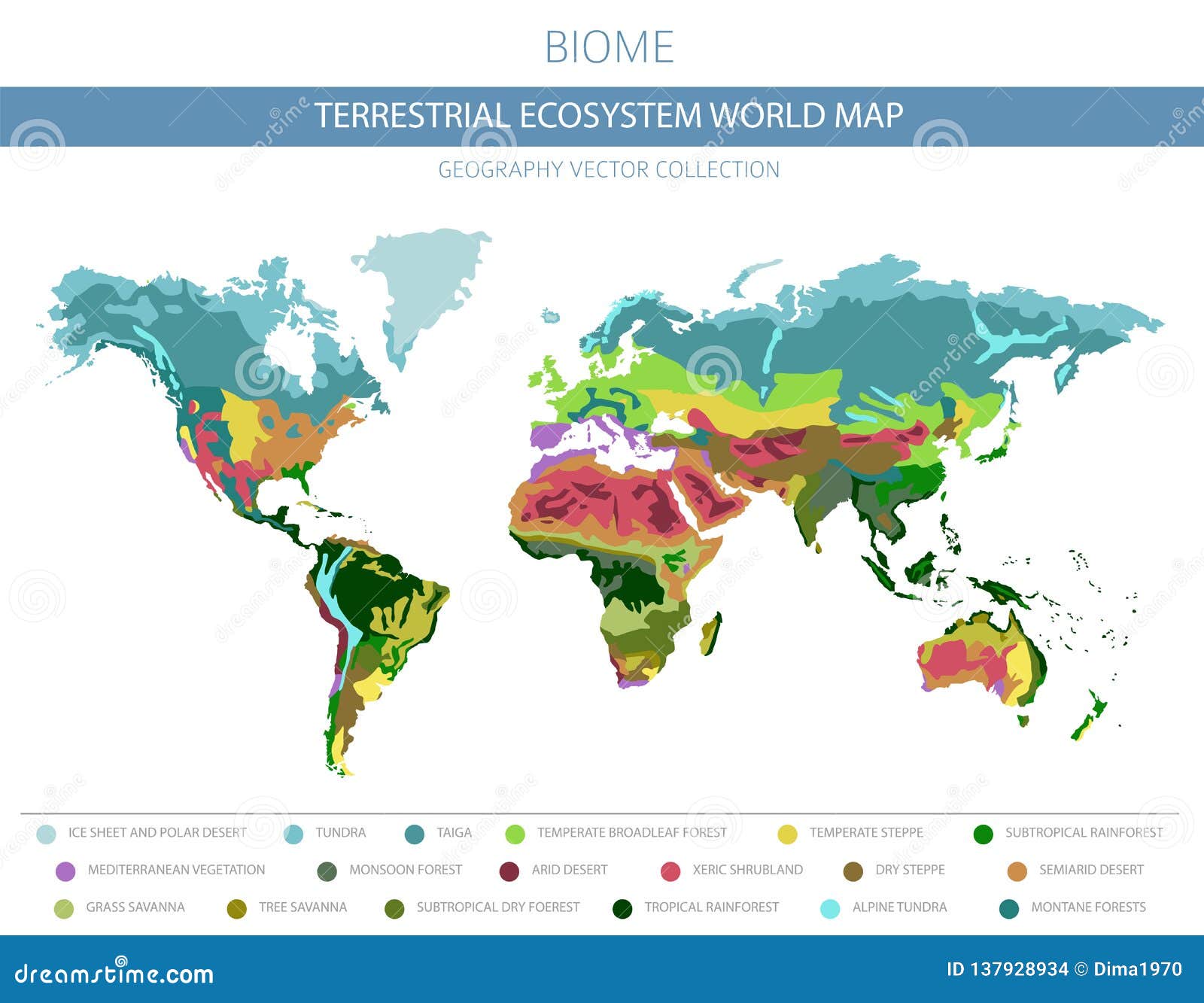 地球生态系世界地图生物群系世界气候带infographic设计向量例证 插画包括有