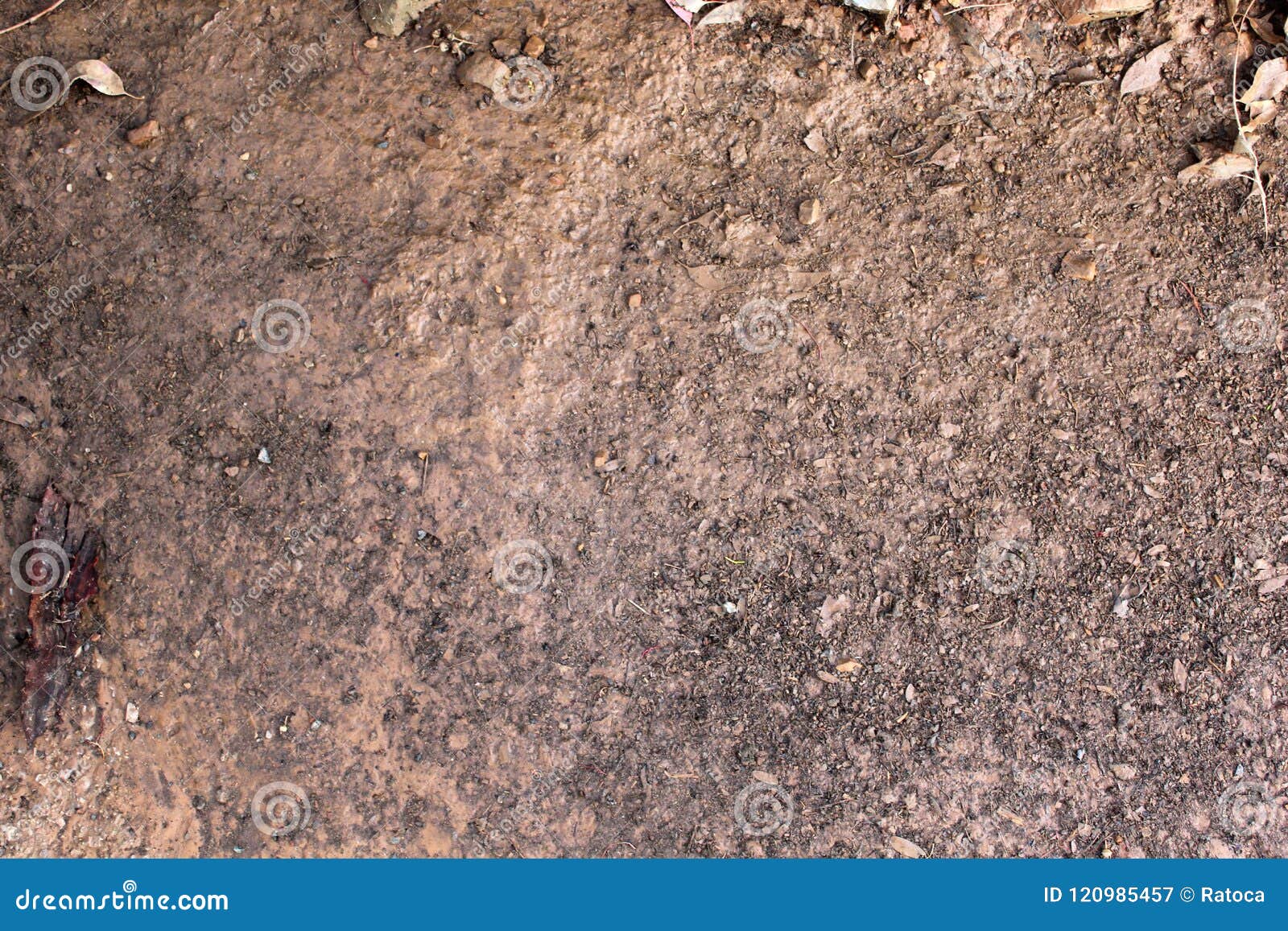 地面纹理库存图片 图片包括有