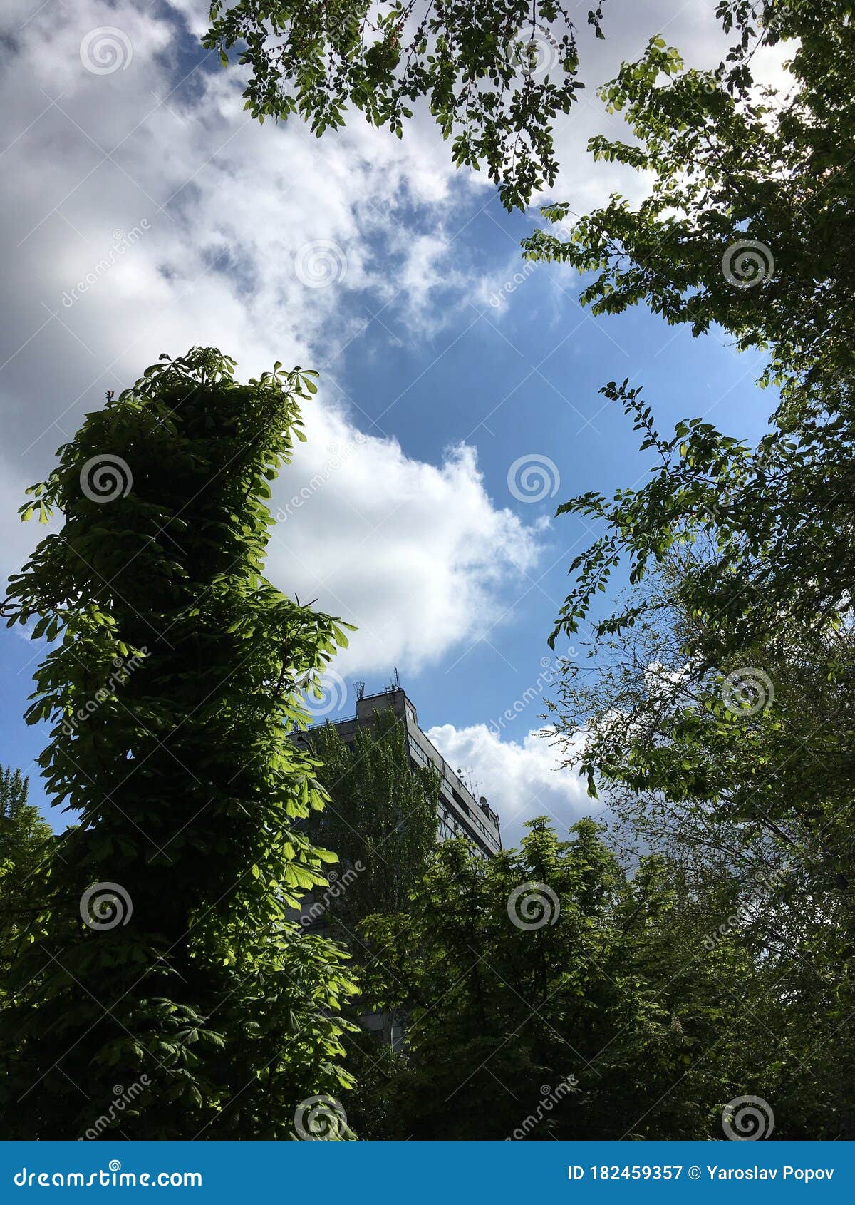城市上空的蓝天亮白云绿色城市树抽象壁纸库存图片 图片包括有抽象 简单派 森林 纹理