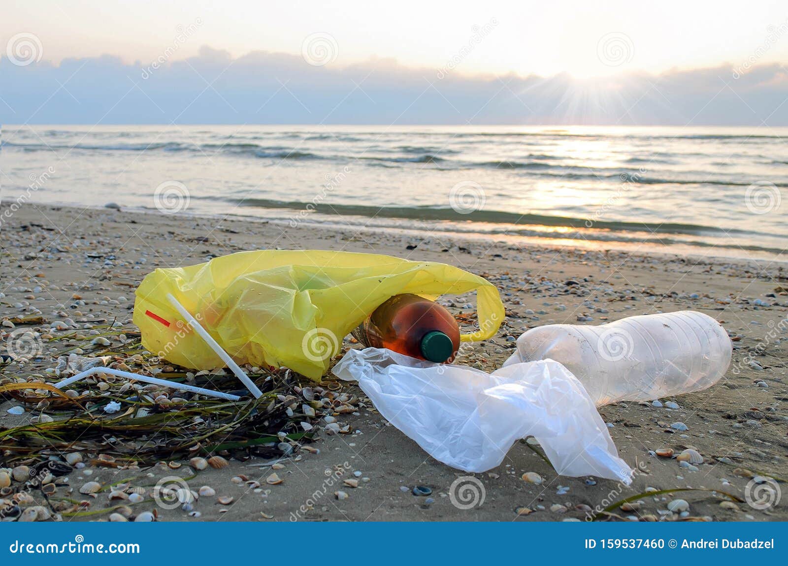 塑料垃圾就在海滩上 污染海洋和海洋生物塑料污染控制概念库存照片 图片包括有回收 危险 塑料垃圾就在海滩上 污染海洋和海洋生物塑料污染控制概念库存照片 图片包括有回收 危险
