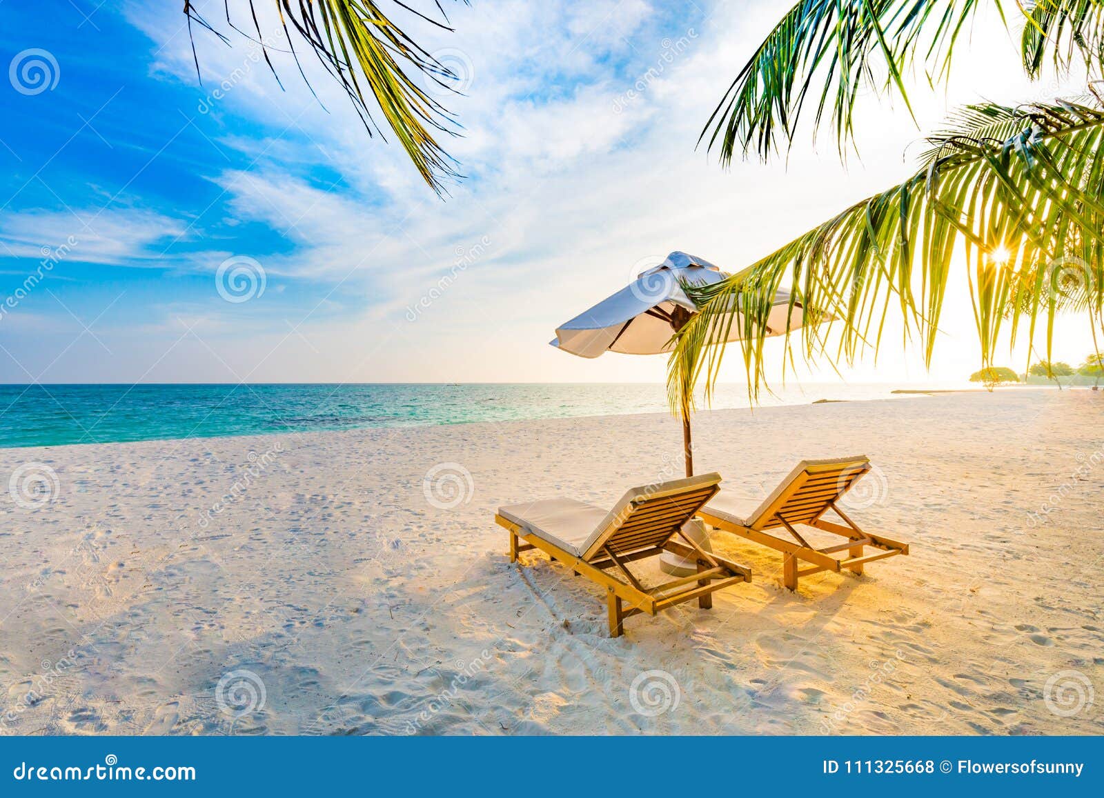 夏天旅行目的地背景夏天海滩场面 太阳床阳伞和棕榈树库存照片 图片包括有夏威夷 多米尼加共和国