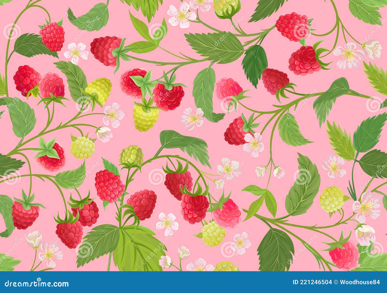 夏莓果叶花卉背景的无缝覆盆子图案向量例证 插画包括有花卉 包装 装箱 食物 叶子 设计 夏莓果叶花卉背景的无缝覆盆子图案向量例证 插画包括有花卉 包装 装箱 食物 叶子 设计