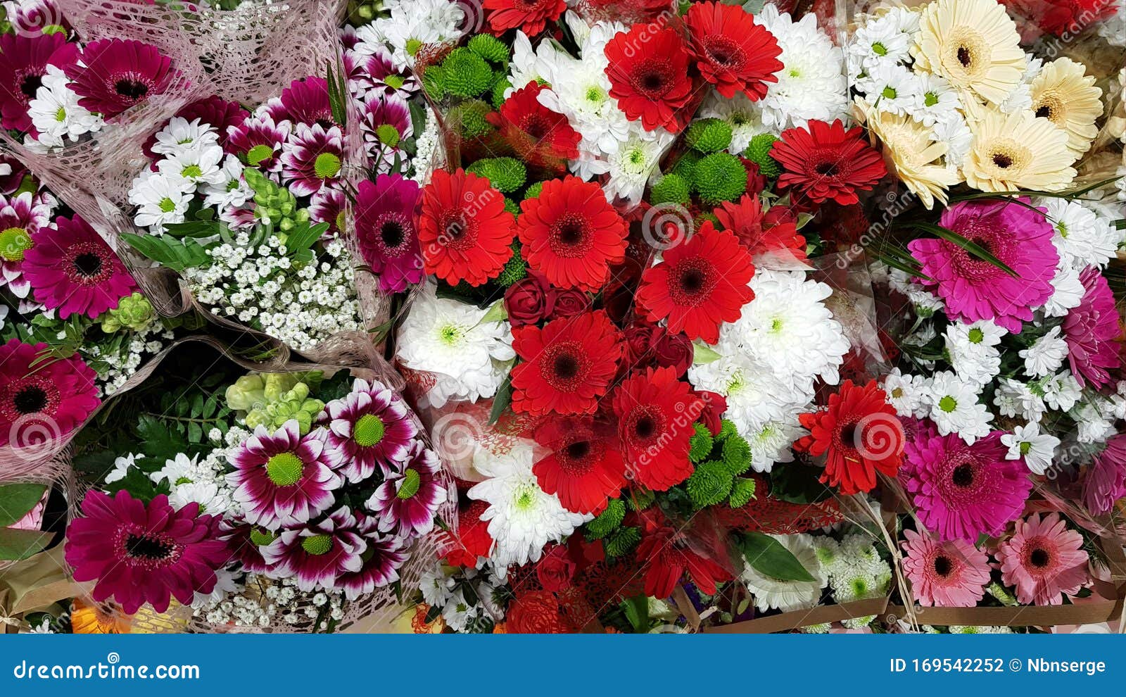 多种不同颜色的花束情人节 婚礼的花背景库存照片 图片包括有绽放 模式 问候 附注 纤巧 多种不同颜色的花束情人节 婚礼的花背景库存照片 图片包括有绽放 模式 问候 附注 纤巧