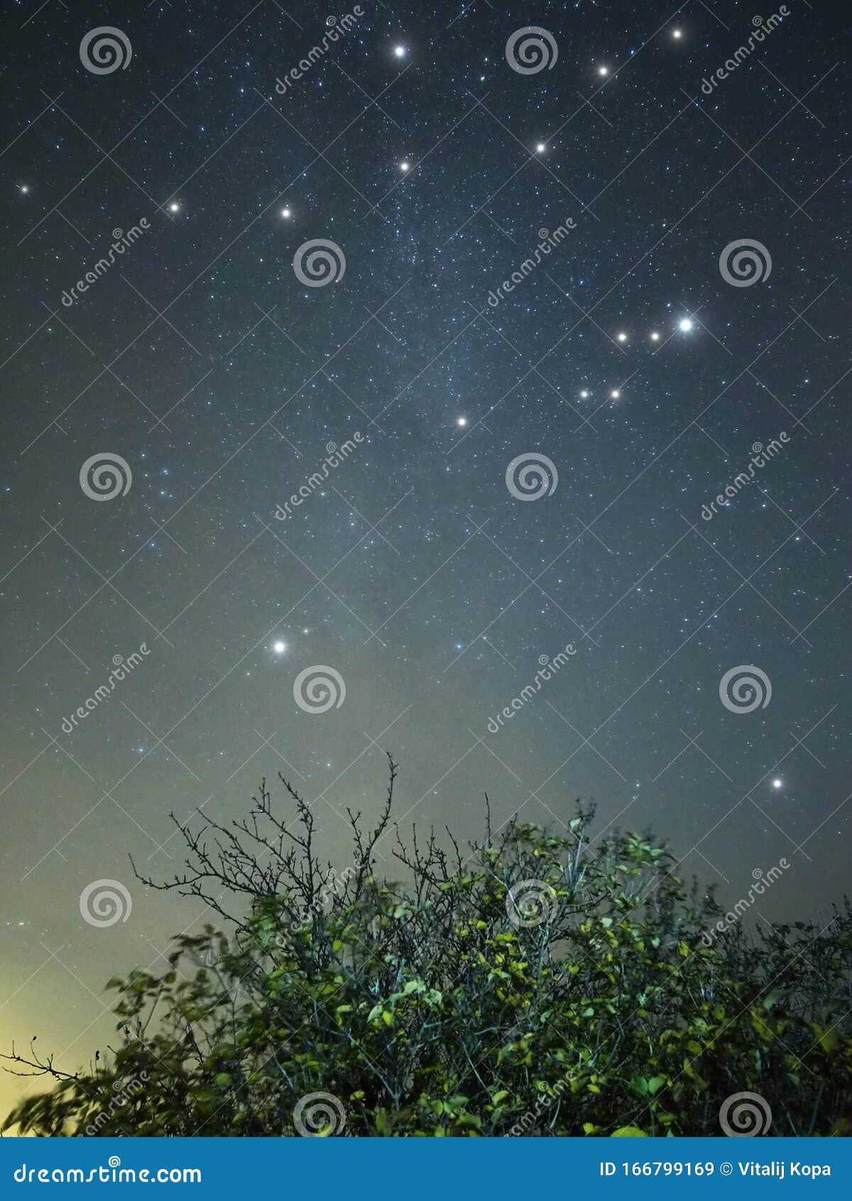 夜空星星cygnus和lyra星座云库存图片 图片包括有乳状 桤木 本质 天鹅座 海运 夜空星星cygnus和lyra星座云库存图片 图片包括有乳状 桤木 本质 天鹅座 海运