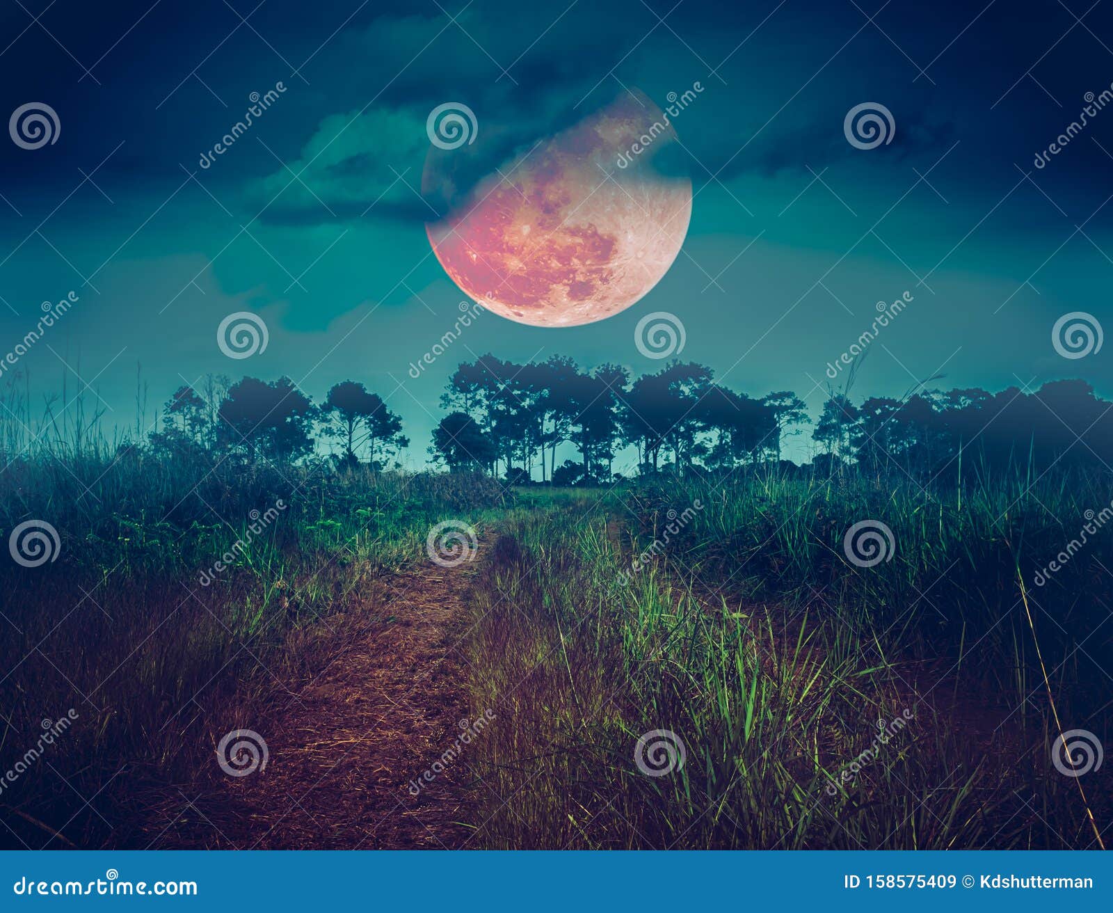 夜间林湖景观背景中雾天血月库存图片 图片包括有 夜间林湖景观背景中雾天血月库存图片 图片包括有