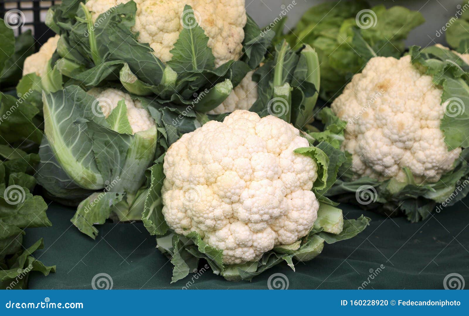 大白菜花库存照片 图片包括有空白 卖主 市场 批发 花椰菜 蔬菜 成熟 销售额 蔬菜水果商