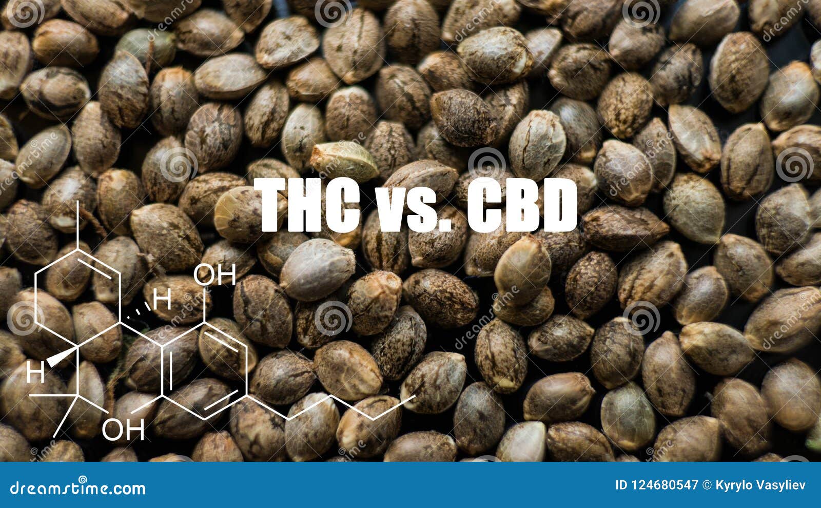 大麻播种特写镜头millenial人民的健康大麻种子库存图片 图片包括有 大麻播种特写镜头millenial人民的健康大麻种子库存图片 图片包括有