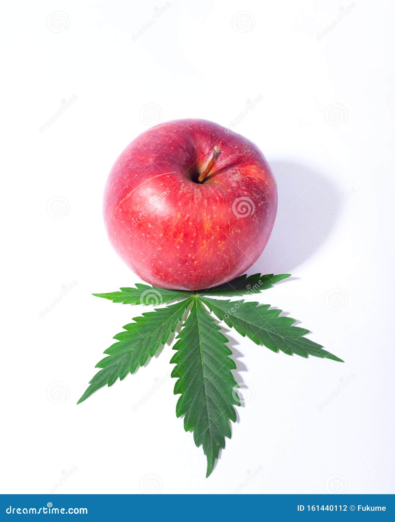 大麻绿叶与红苹果白背景有机纯天然产物的标志苹果味大麻库存照片 图片包括有苹果味大麻 大麻绿叶与红苹果白背景有机纯天然产物的标志