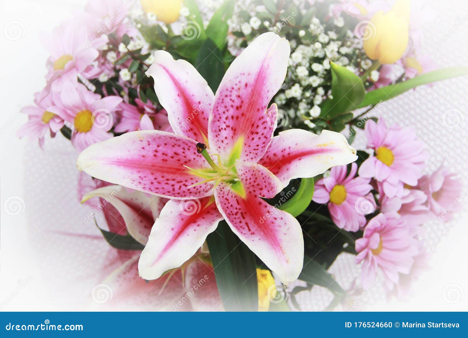 天然大粉百合花 菊花和郁金香花库存照片 图片包括有编排者 开花的 百合 摄影 花束 颜色