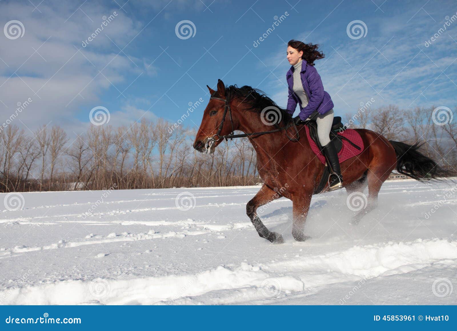 女孩和海湾公马 马背骑马在雪原库存图片 图片包括有哺乳动物 体育运动 追求 驱动器 赛马 女孩和海湾公马 马背骑马在雪原库存图片 图片包括有哺乳动物 体育运动 追求 驱动器 赛马