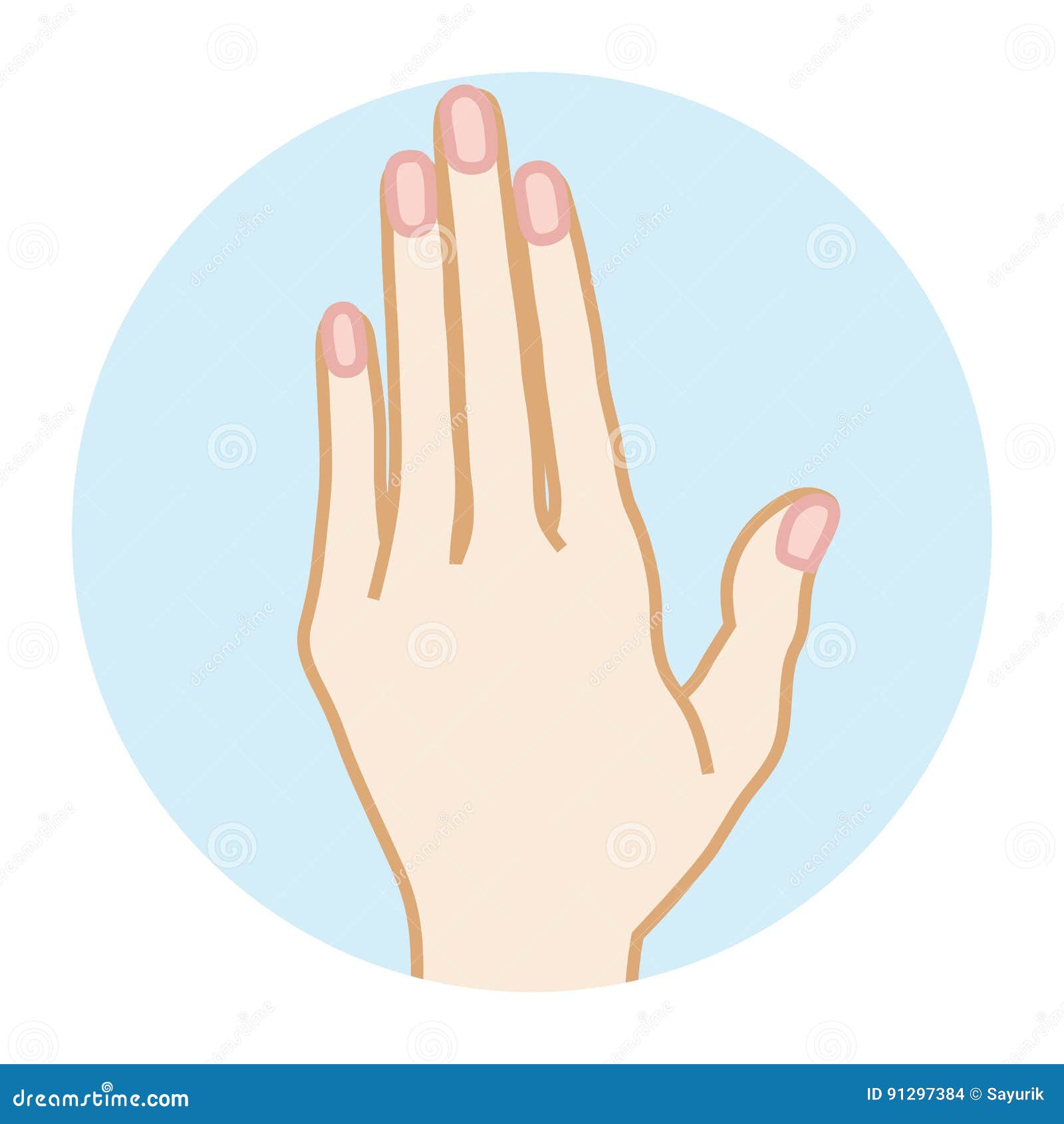 女性干净的手 正面图向量例证 插画包括有