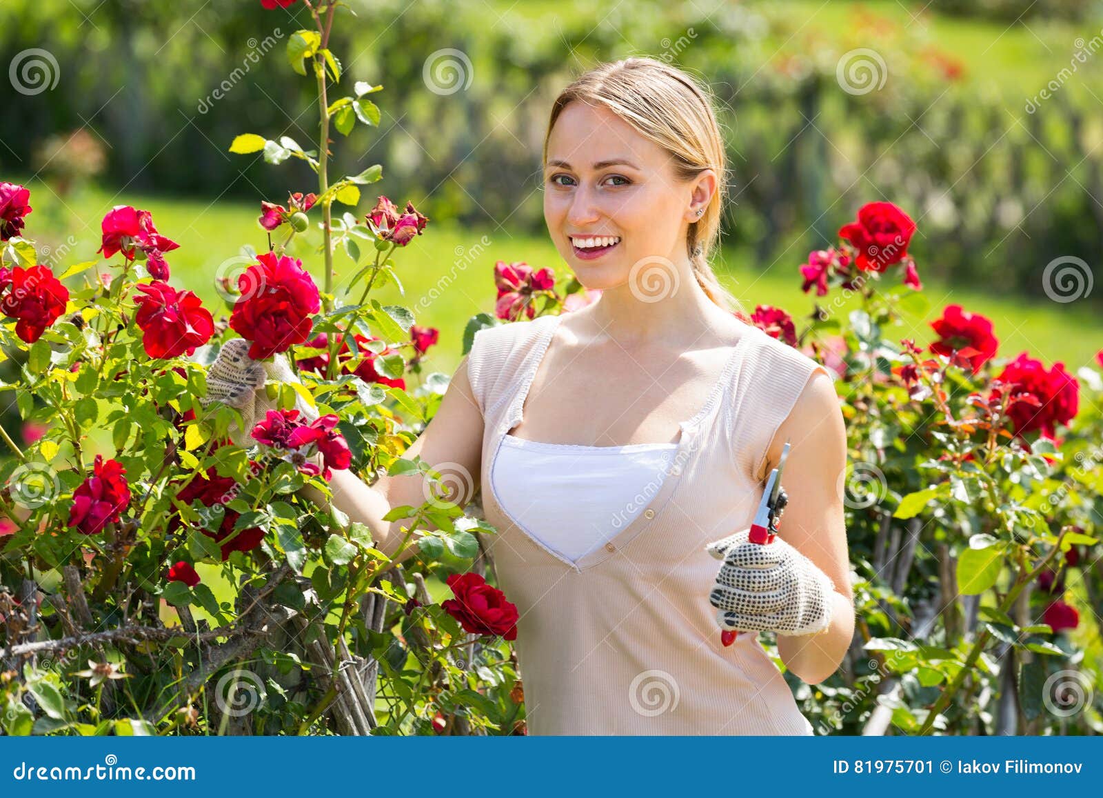 すべての美しい花の画像 新鮮な女性花 すべての美しい花の画像 新鮮な女性花