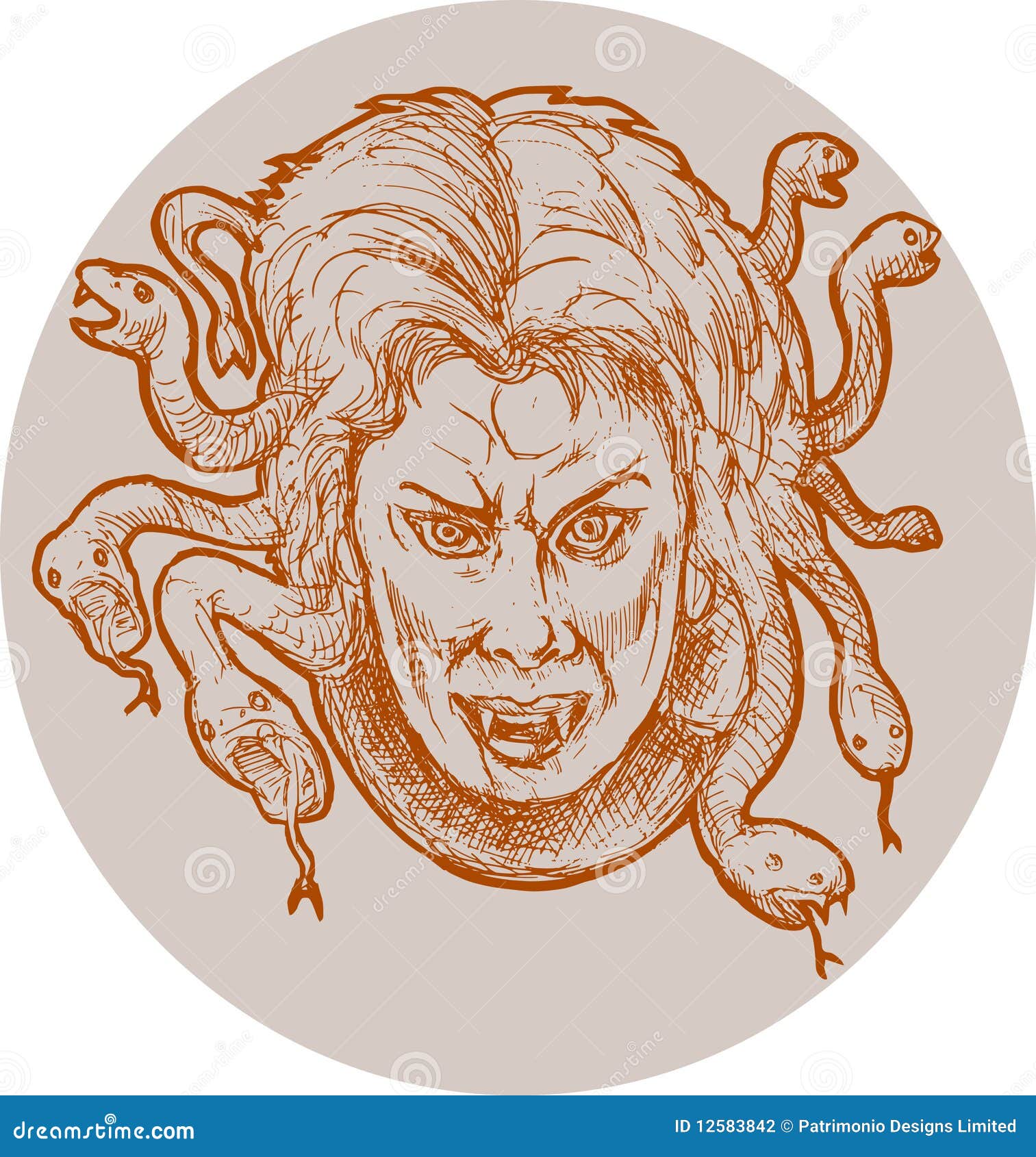 女性gorgon水母妖怪库存例证 插画包括有 女性gorgon水母妖怪库存例证 插画包括有