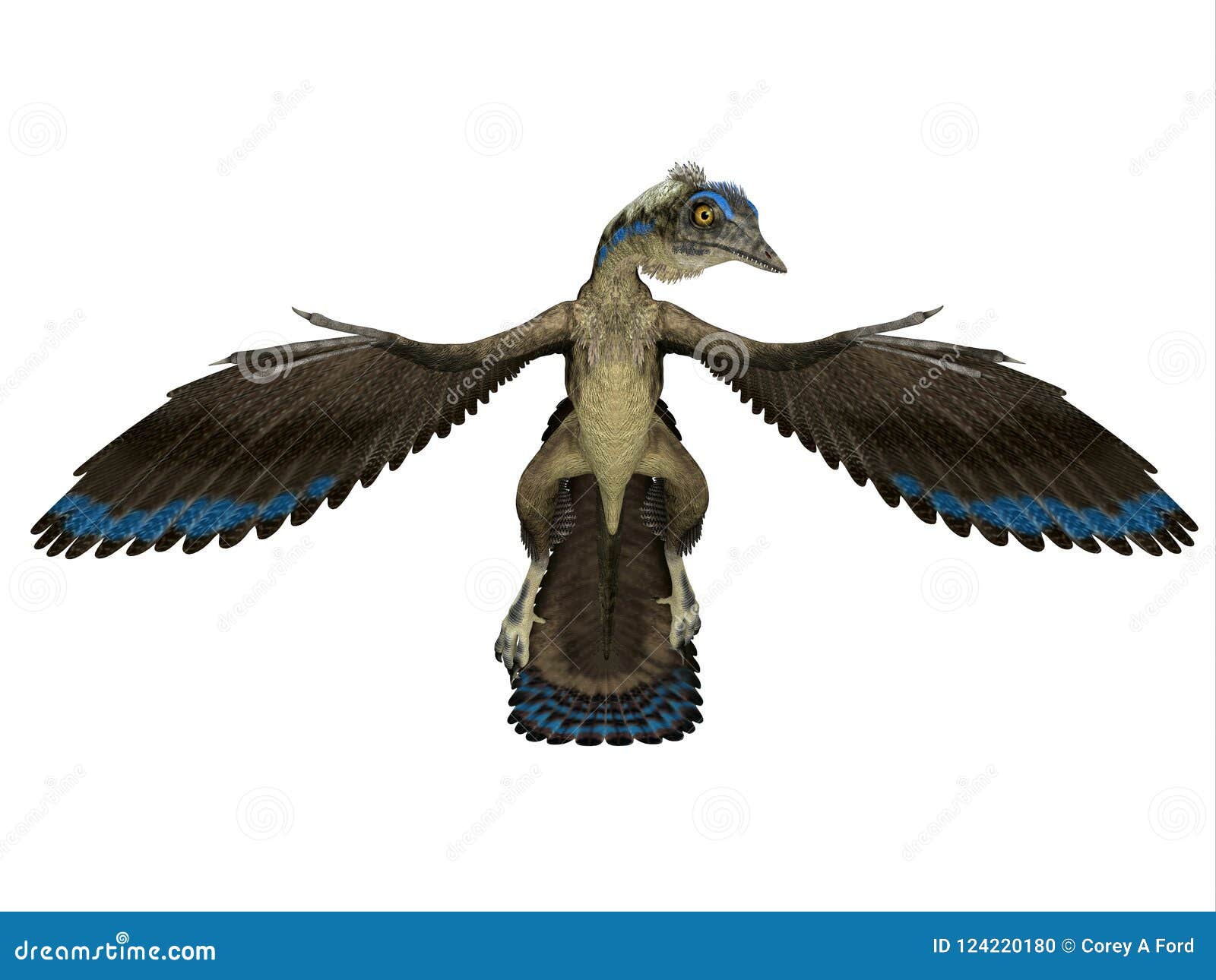 始祖鸟爬行动物前面库存例证. 插画包括有侏罗纪, 史前, 翼手龙, 绝种, 羽毛, 鸟舍, 照片- 124220180