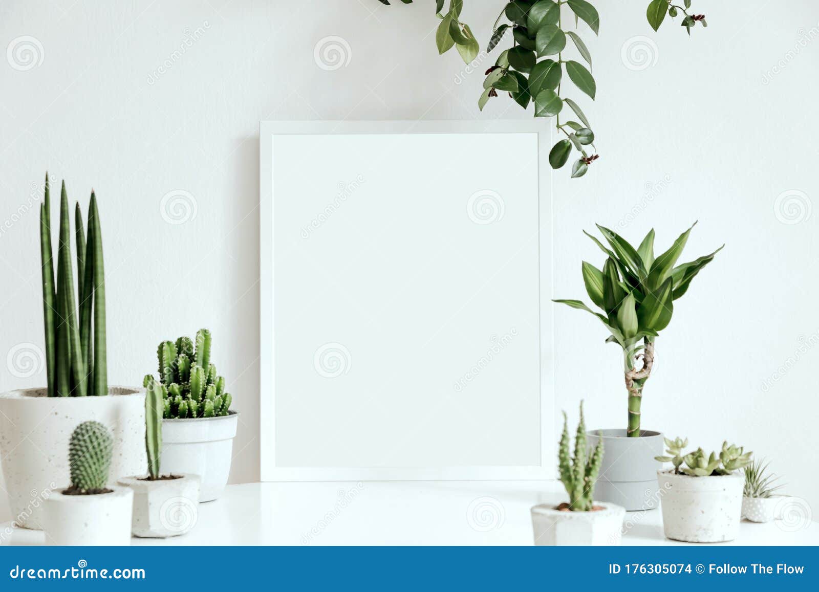 室内盆栽植物及模拟海报框的组合家园概念与城市丛林内部库存照片 图片包括有表单 水泥