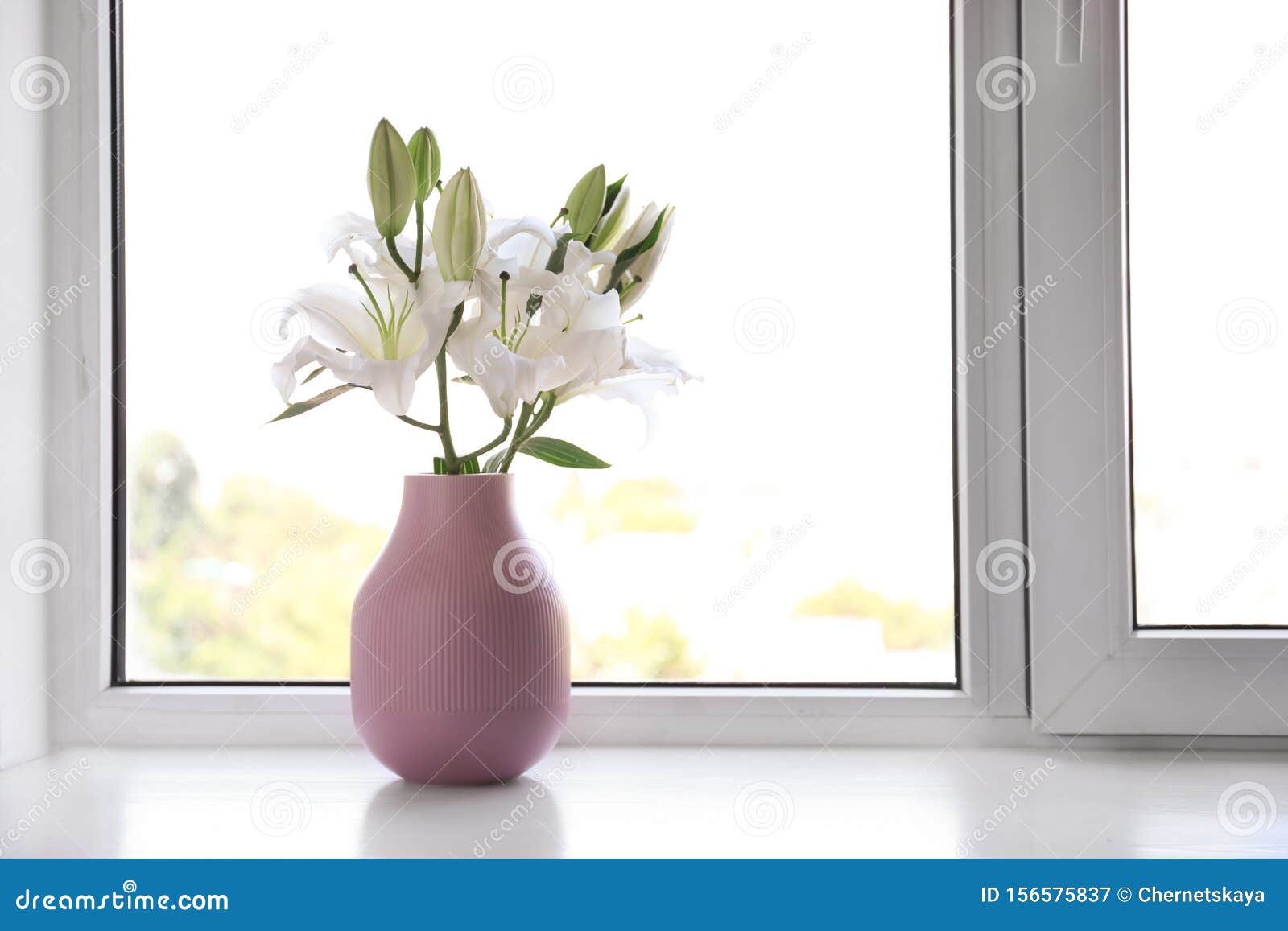 室内窗台上美丽百合花的花瓶库存图片 图片包括有植物群 葬礼 对象 绽放 死亡 本质 花卉