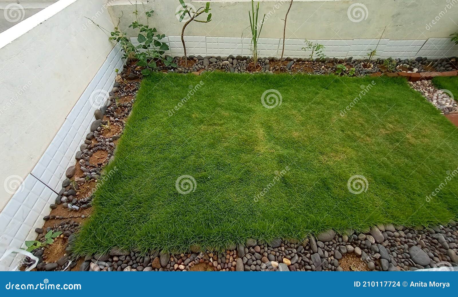 家庭小花园设计理念 库存照片 图片包括有环境美化 横向 西北 种植 家庭 印第安语 休息室