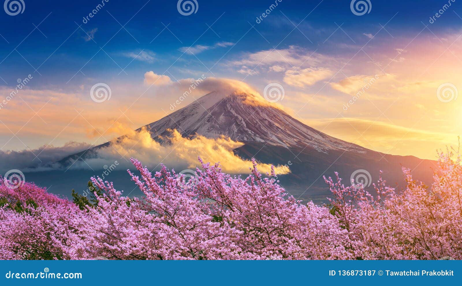 富士山和樱花在春天，日本库存图片. 图片包括有东京, 自治权, 日本, 日落, 节日, 游人, 背包- 136873187